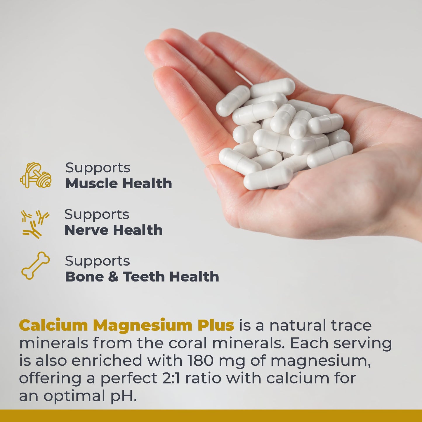 Premier Research Labs Calcium Magnesium Plus Capsules 300