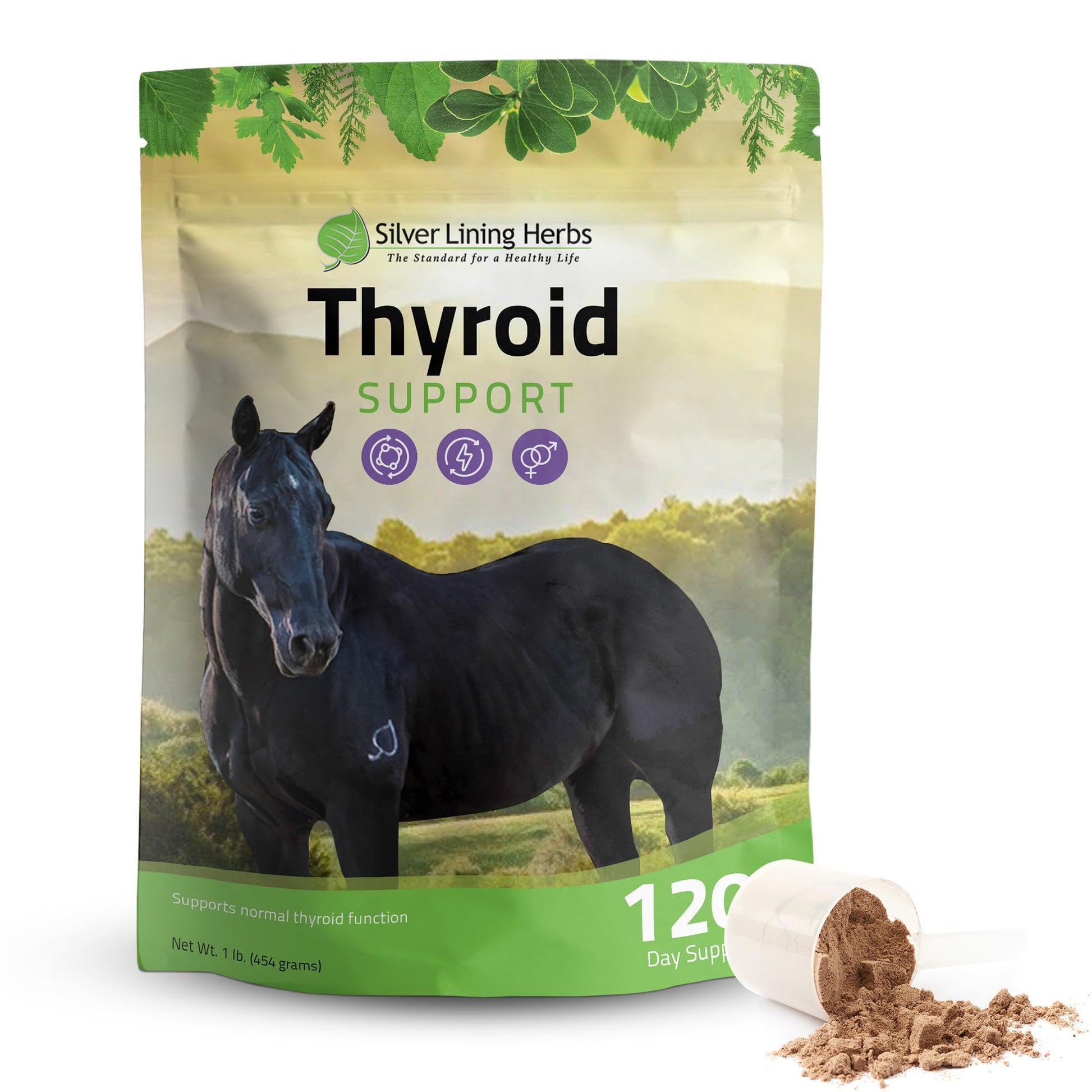 Silver Lining Herbs Thyroid Support for Horses Powder, 1 Unit