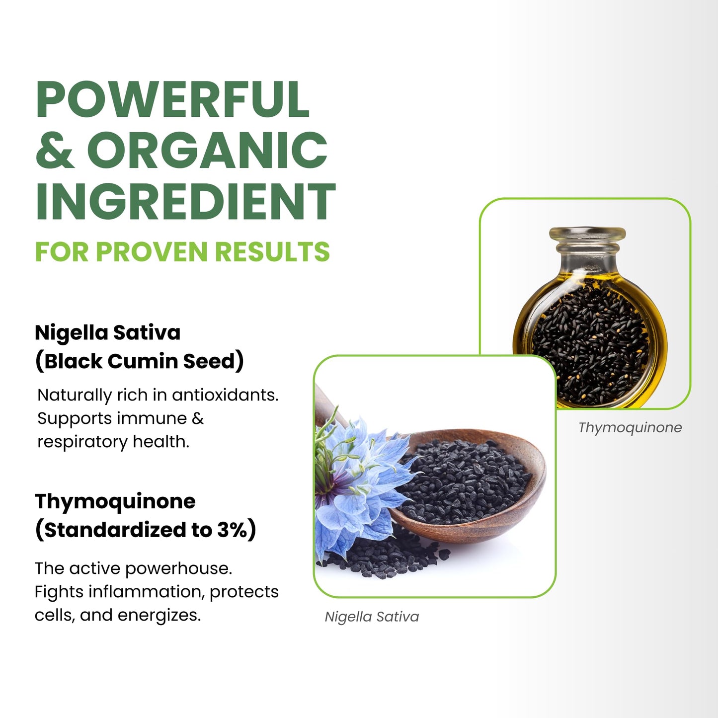 ThymoQuin Organic Cold-Pressed Black Seed Oil Softgels, 60 Count