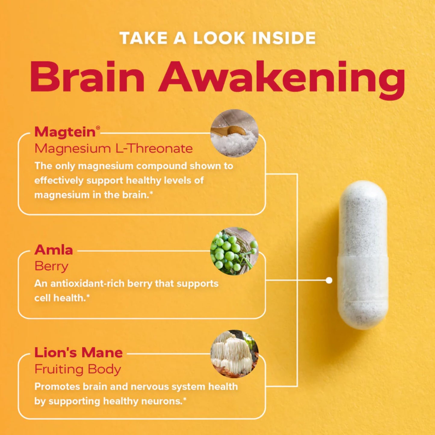Redd Remedies Brain Awakening Capsule 120 Count