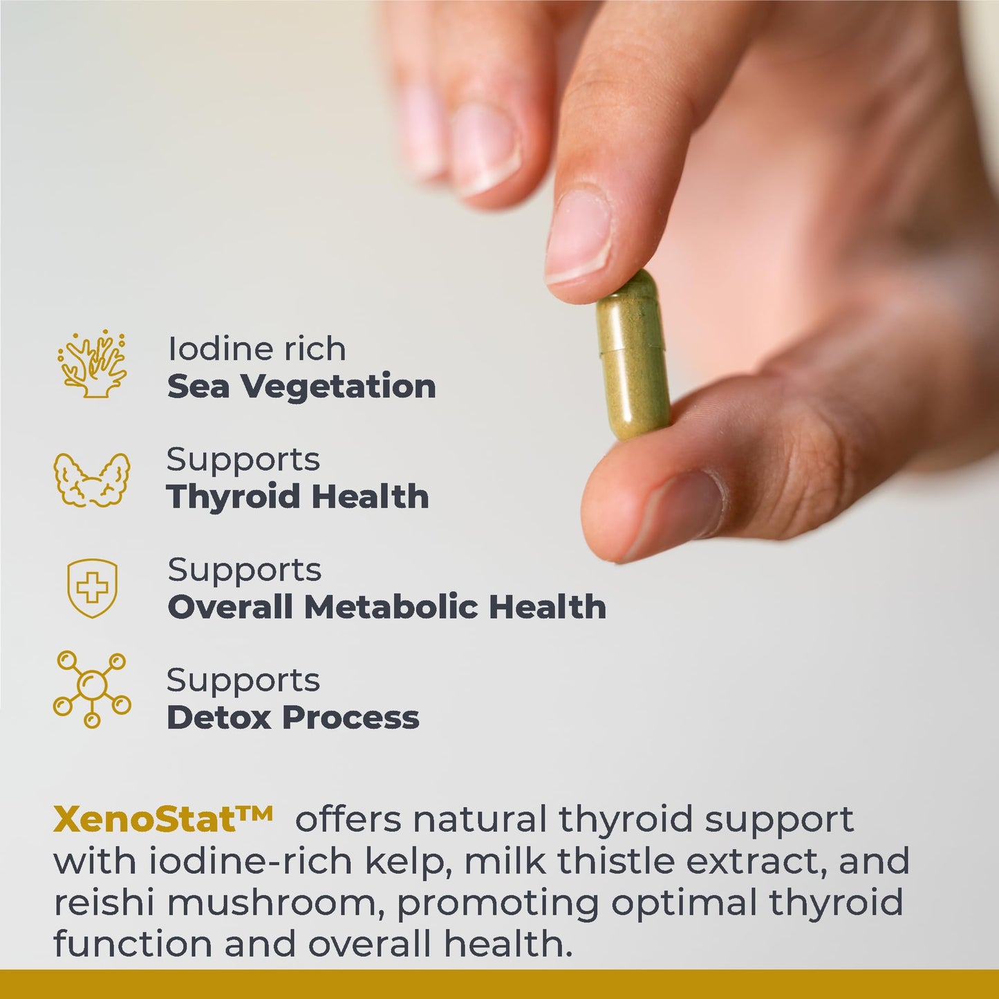 Premier Research Labs XenoStat Thyroid Support Capsule 90 Capsules