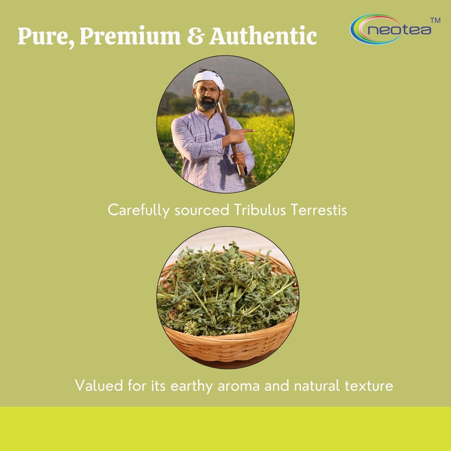 neotea Tribulus Terrestis Powder 10.58 oz