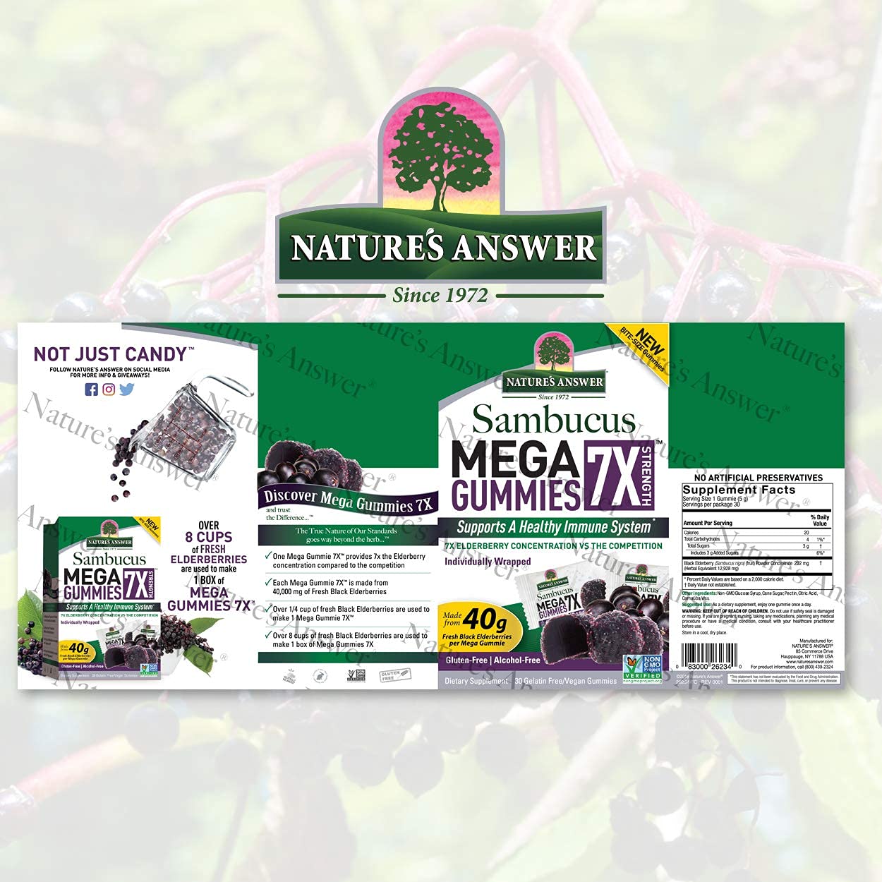 Nature's Answer Sambucus Mega Gummies 30 Count