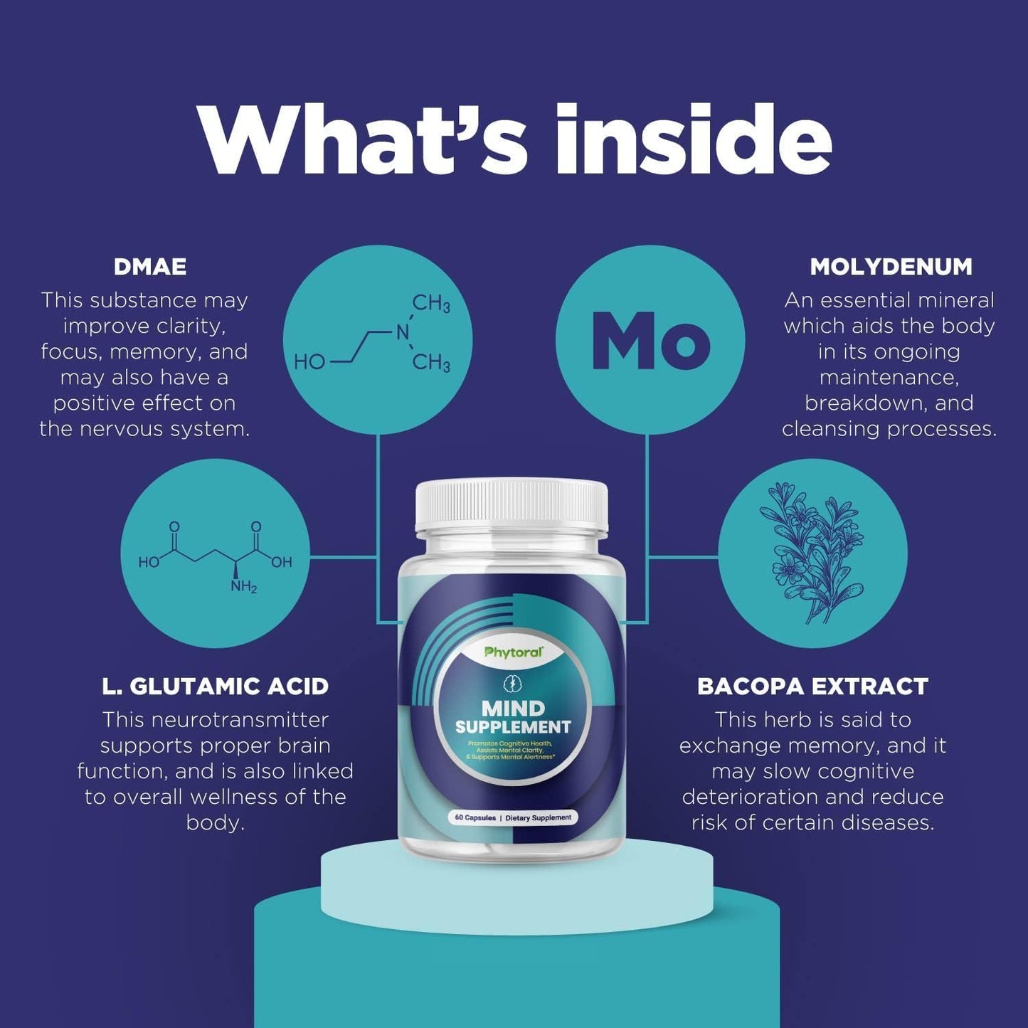 Phytoral Nootropic Brain Supplement for Memory and Focus Enhancement Capsule 60 Capsules