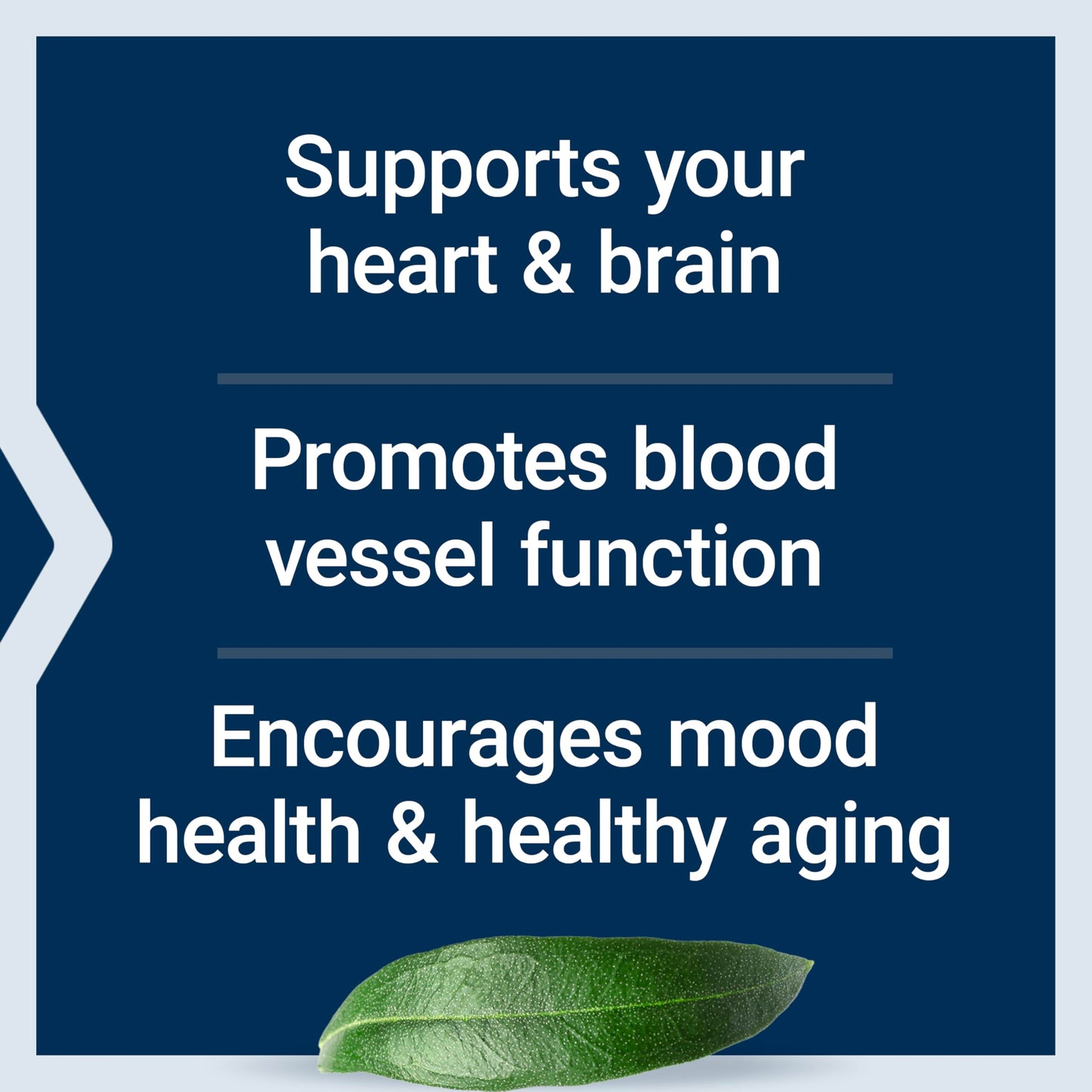 Life Extension Super Omega-3 EPA/DHA Fish Oil, Sesame Lignans & Olive Extract Softgels 240