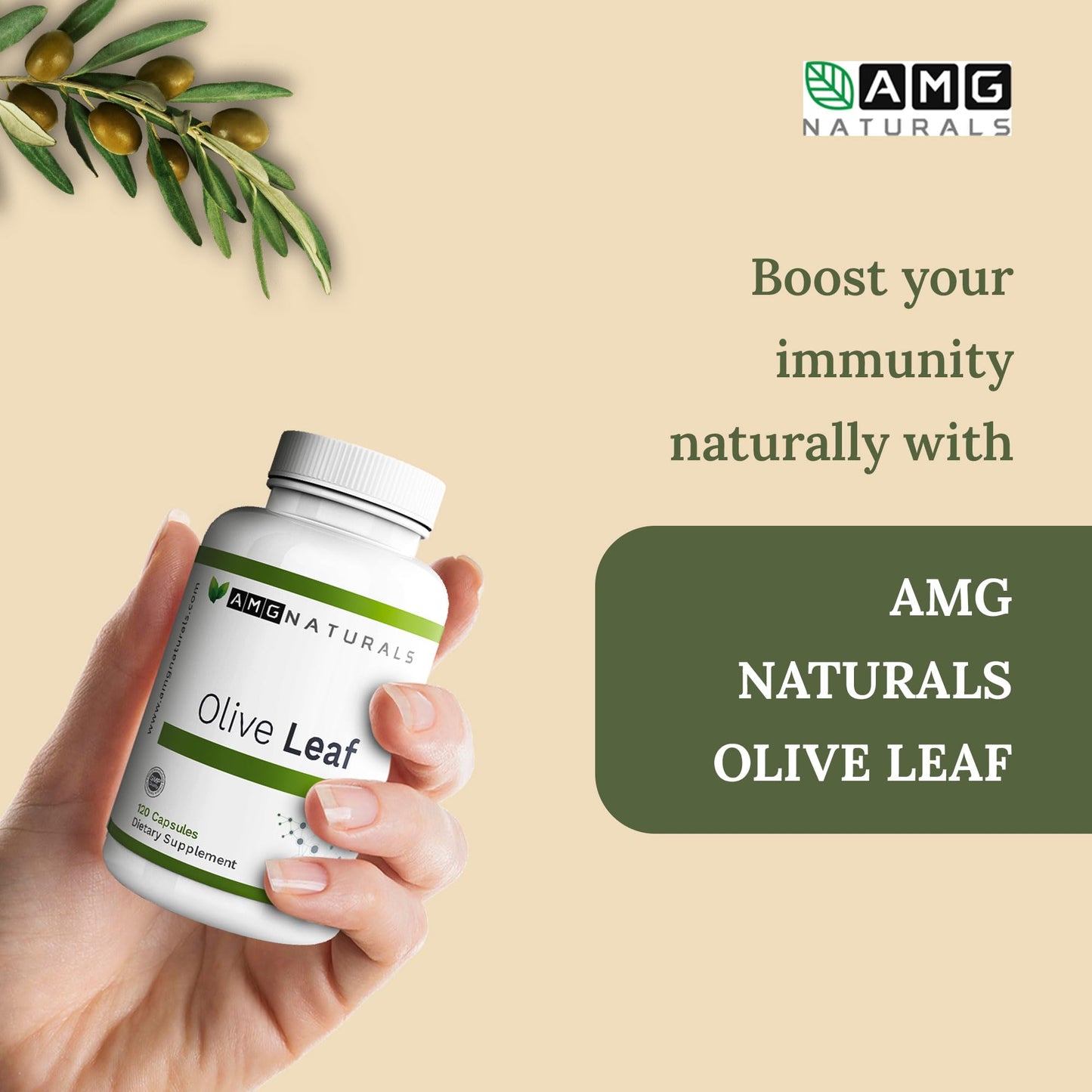 AMG Naturals Olive Leaf Capsules, 90 Count