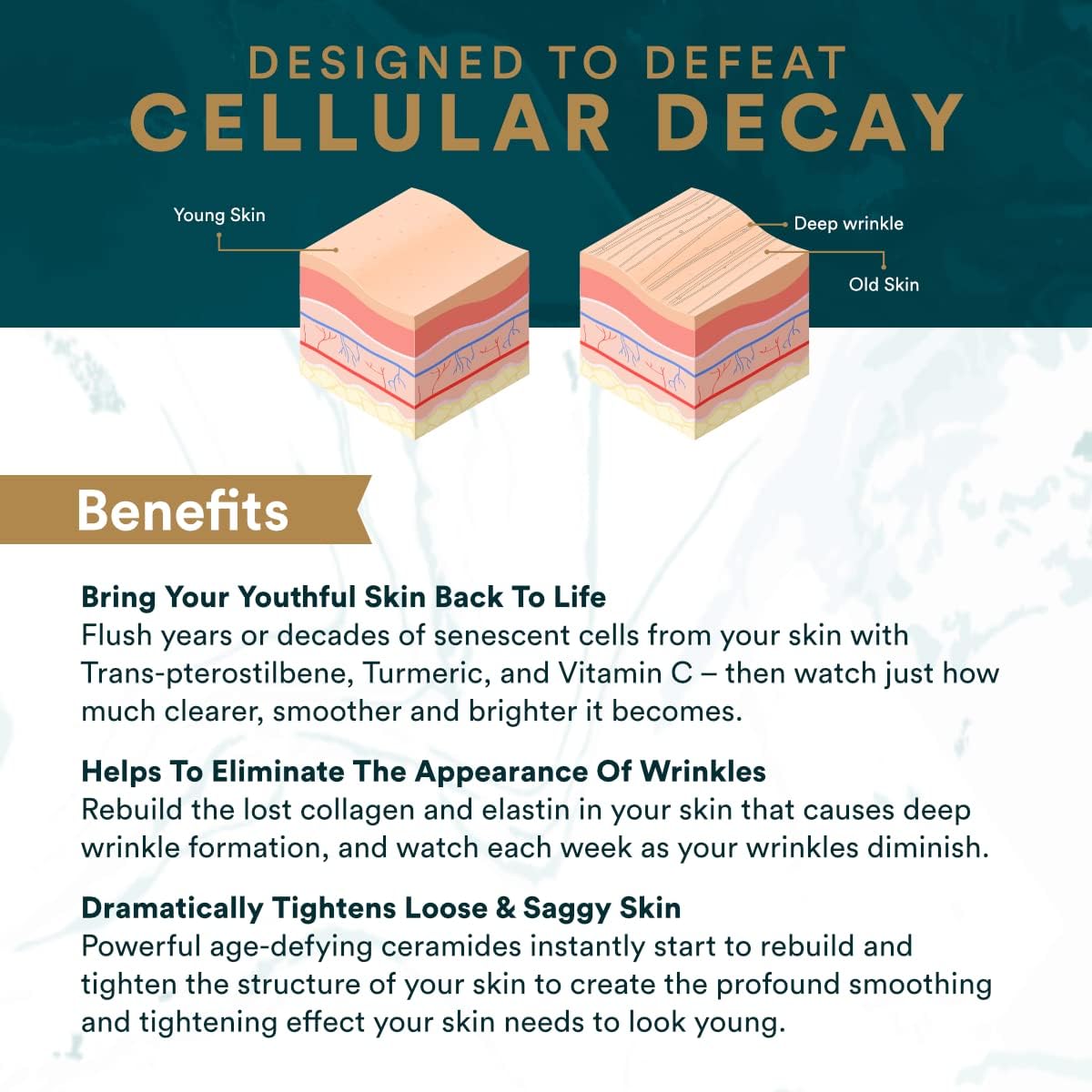 Vitalifi Sun Coast Sciences - ReActivate Your Skin’s Beauty from Within, with Dr. Rosenberg’s Special Skin Health Formula Capsules 30