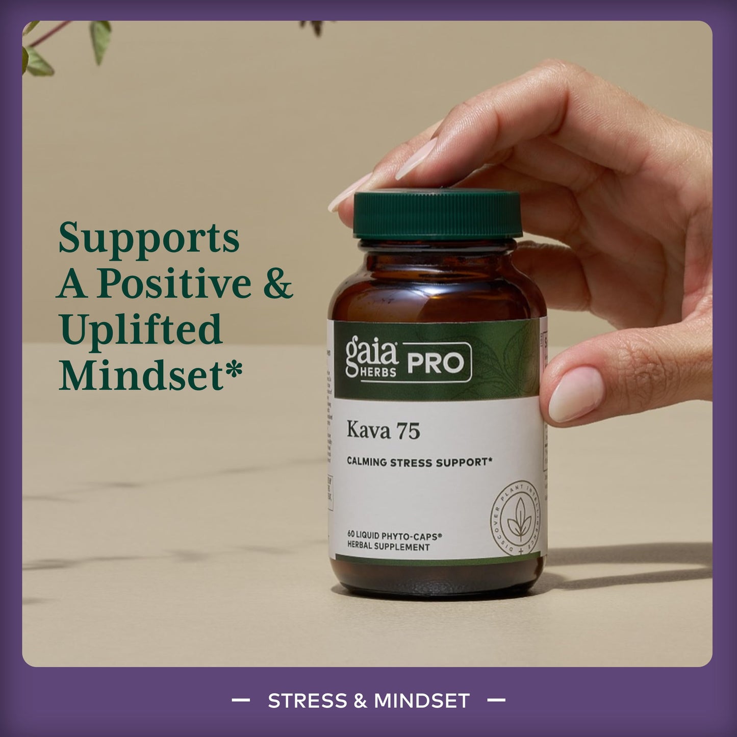 Gaia Herbs PRO Kava 75 Capsules 60 Count