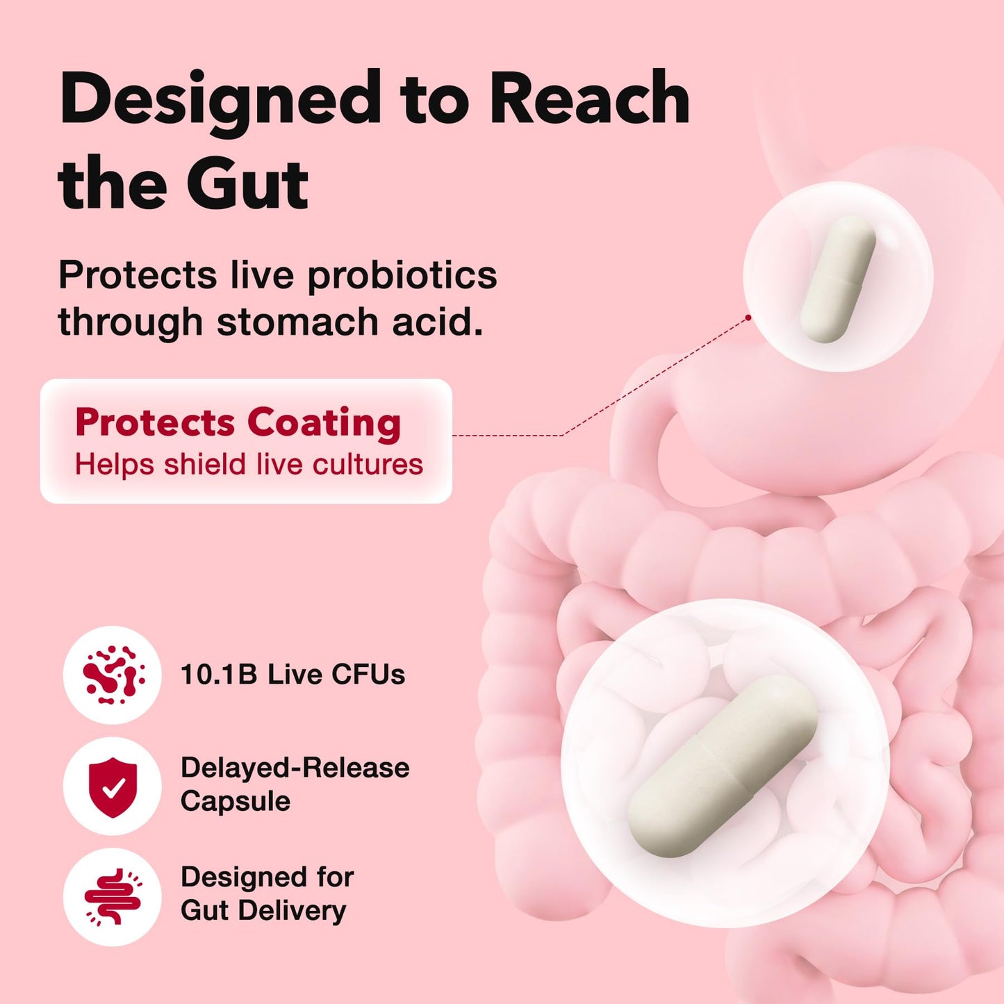 FOODOLOGY Coleology Cut Probiotics for Bloating Relief 10.1B CFU Capsules 30