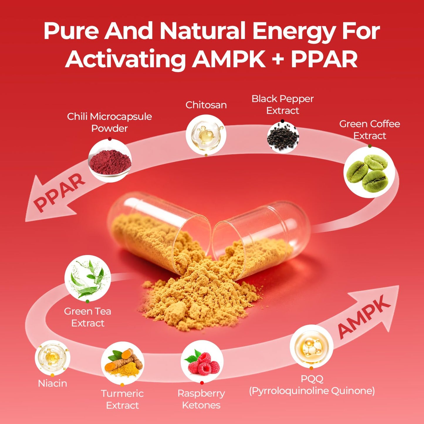 OxyEnergy AMPK Metabolic Activator Weight Loss Supplement, 60 Capsules