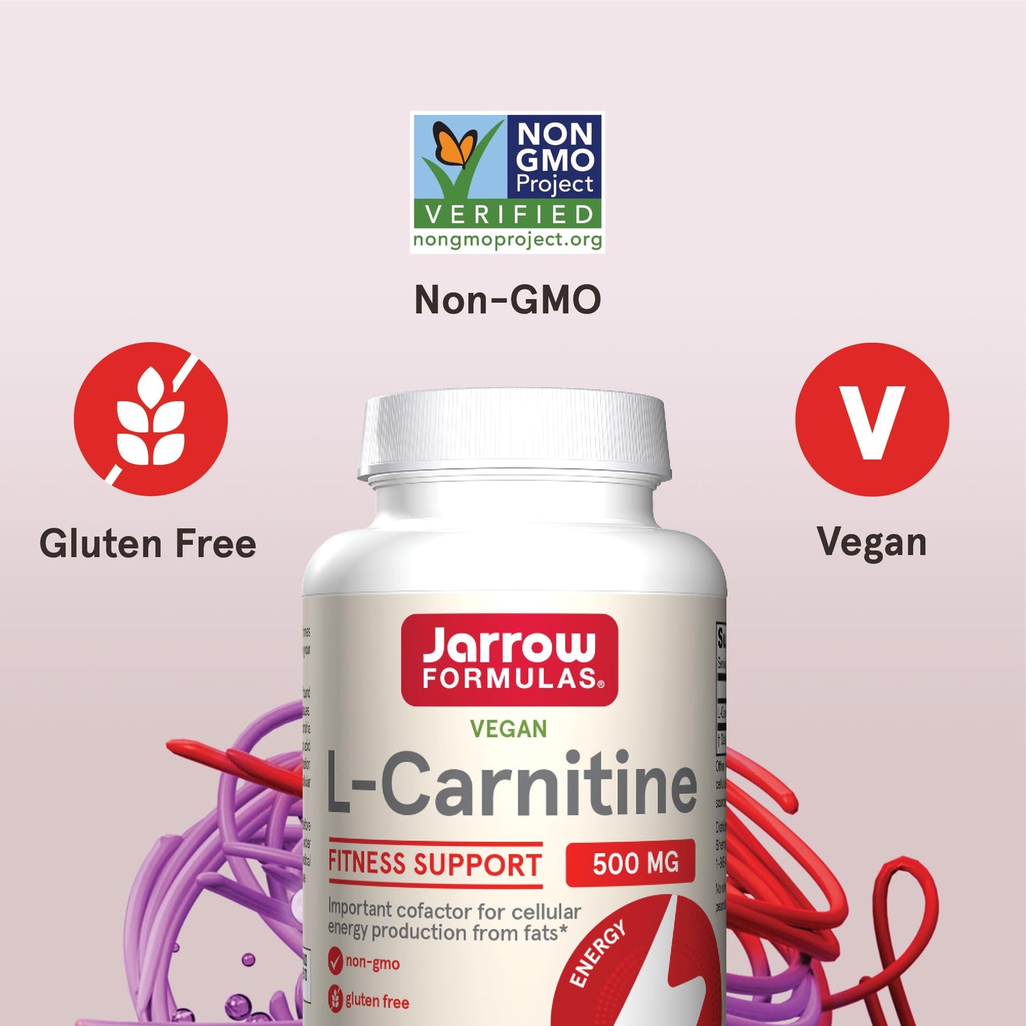 Jarrow Formulas L-Carnitine 500 mg Capsule, 100 Count