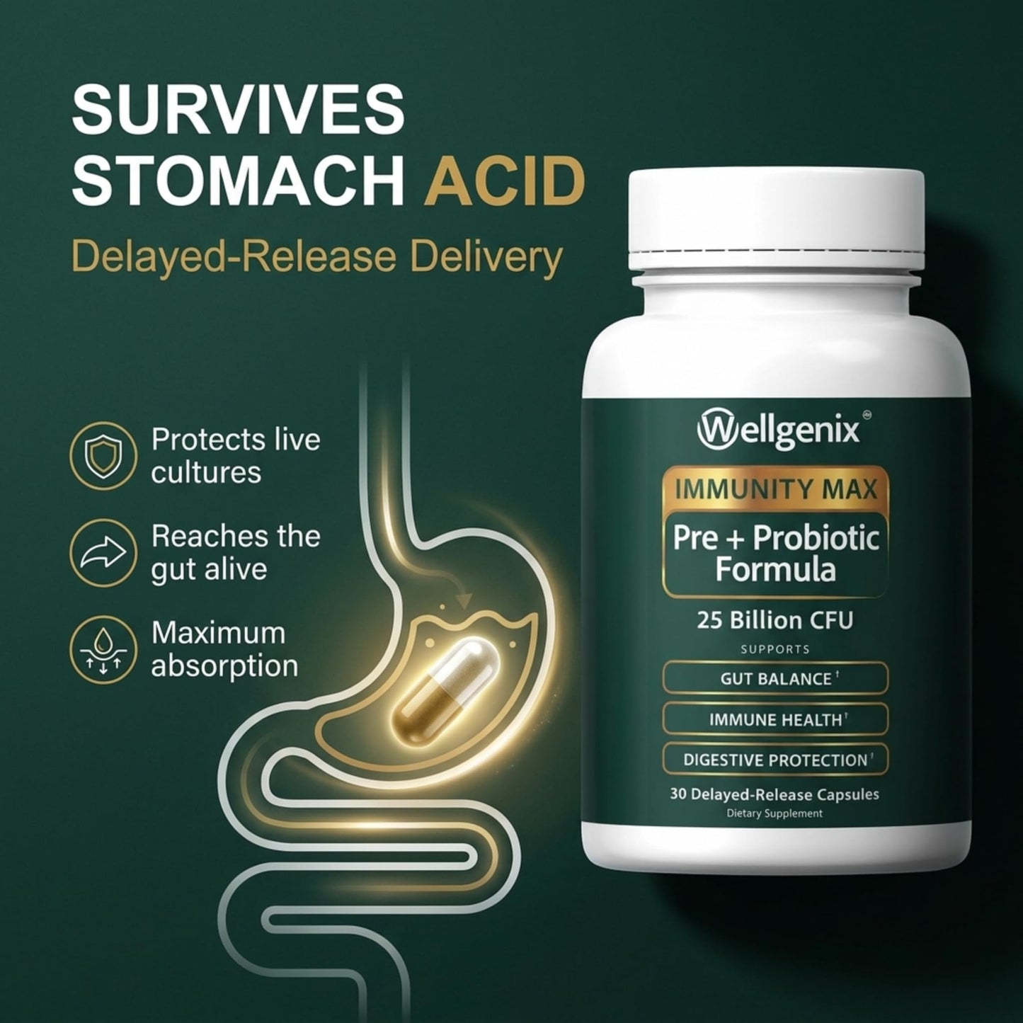 Wellgenix Immunity Max Probiotic 25 Billion CFU – Bifidobacterium Lactis, Saccharomyces Boulardii & Lactobacillus Rhamnosus – Gut Balance & Immune Support – 30 Vegetarian Delayed-Release Capsules