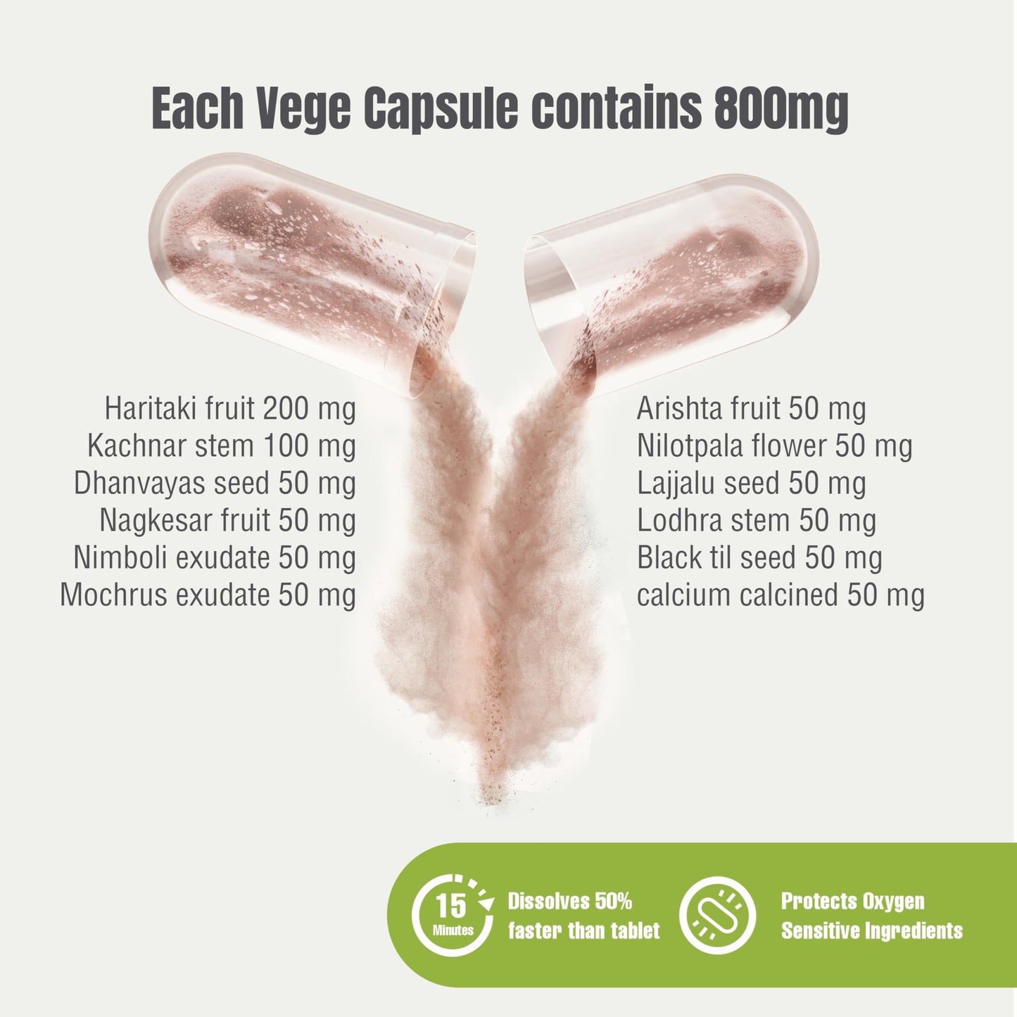 Herbsforever Enviro Care Ayurvedic Herbal Supplement, 90 Capsules