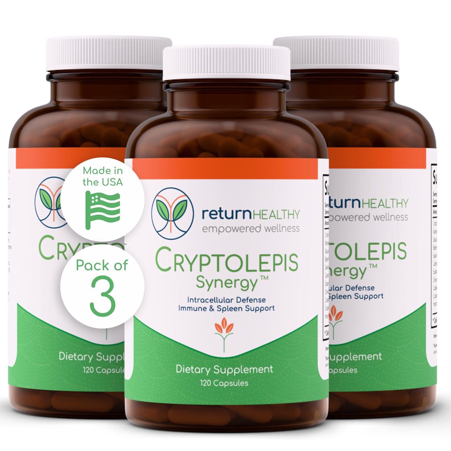 Return Healthy Cryptolepis Synergy Capsules, 360 Count