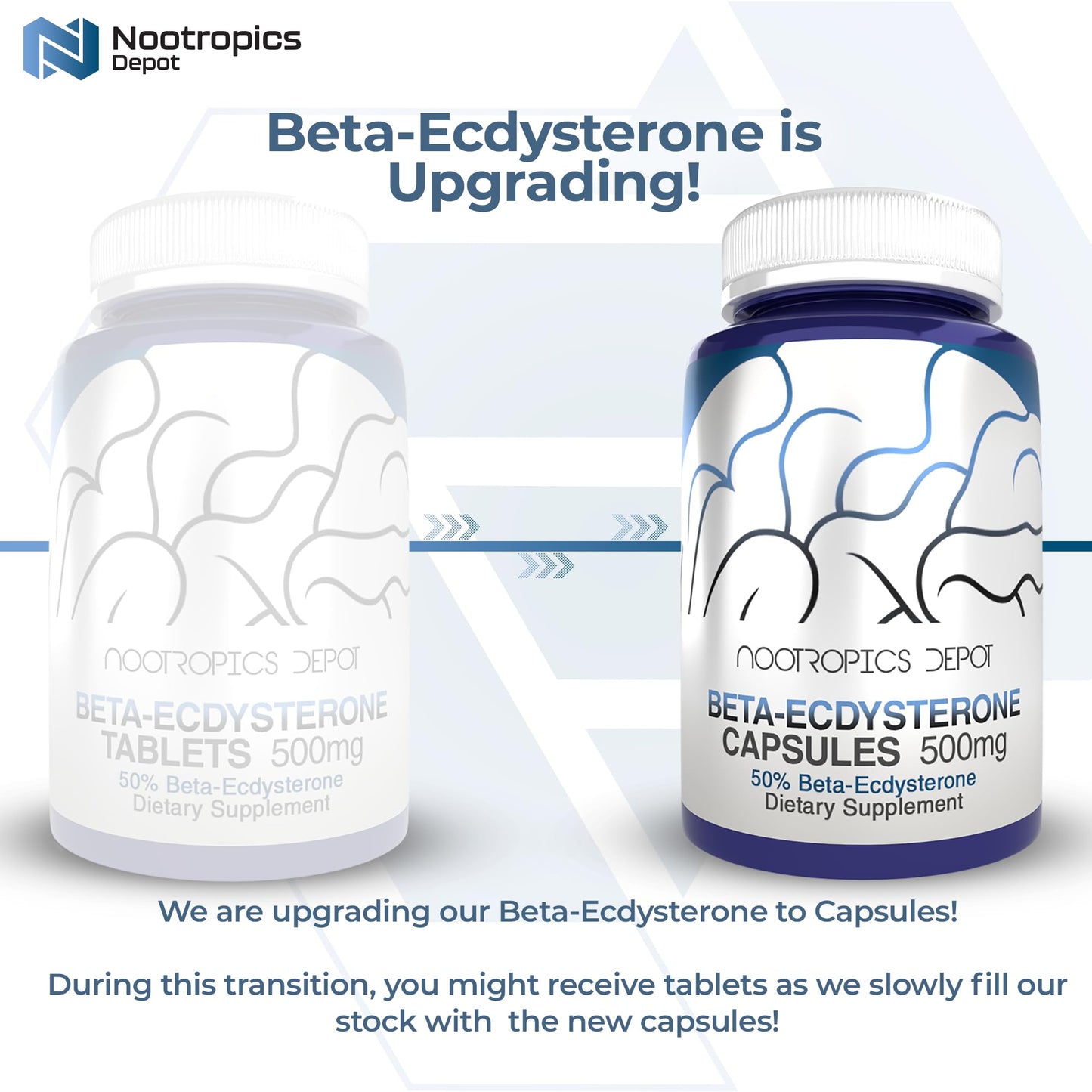Nootropics Depot Beta Ecdysterone/20-Hydroxyecdysone 50% Extract 500mg Capsule, Cyanotis Arachnoidea Extract, Phytoecdysteroid, 30 Count