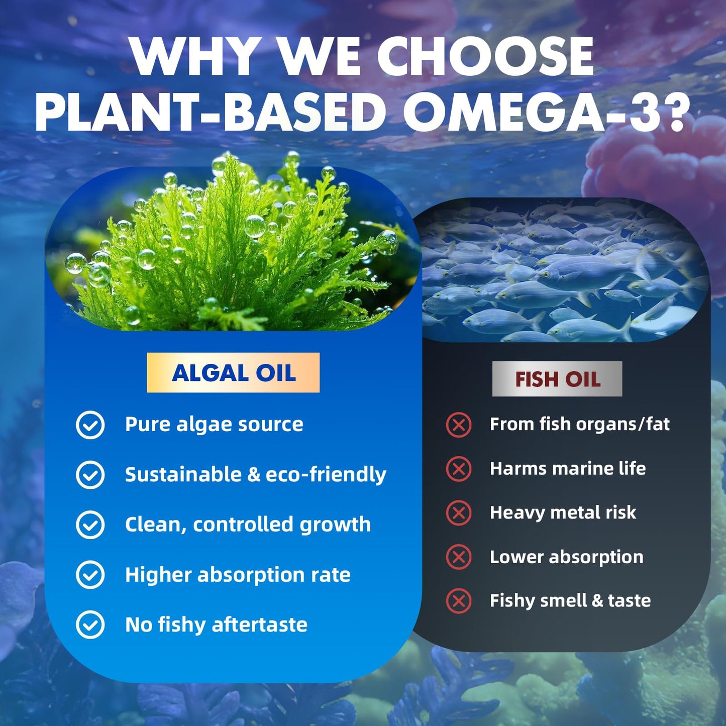 Saajoor Vegan Omega-3 Gummies 2 Pack
