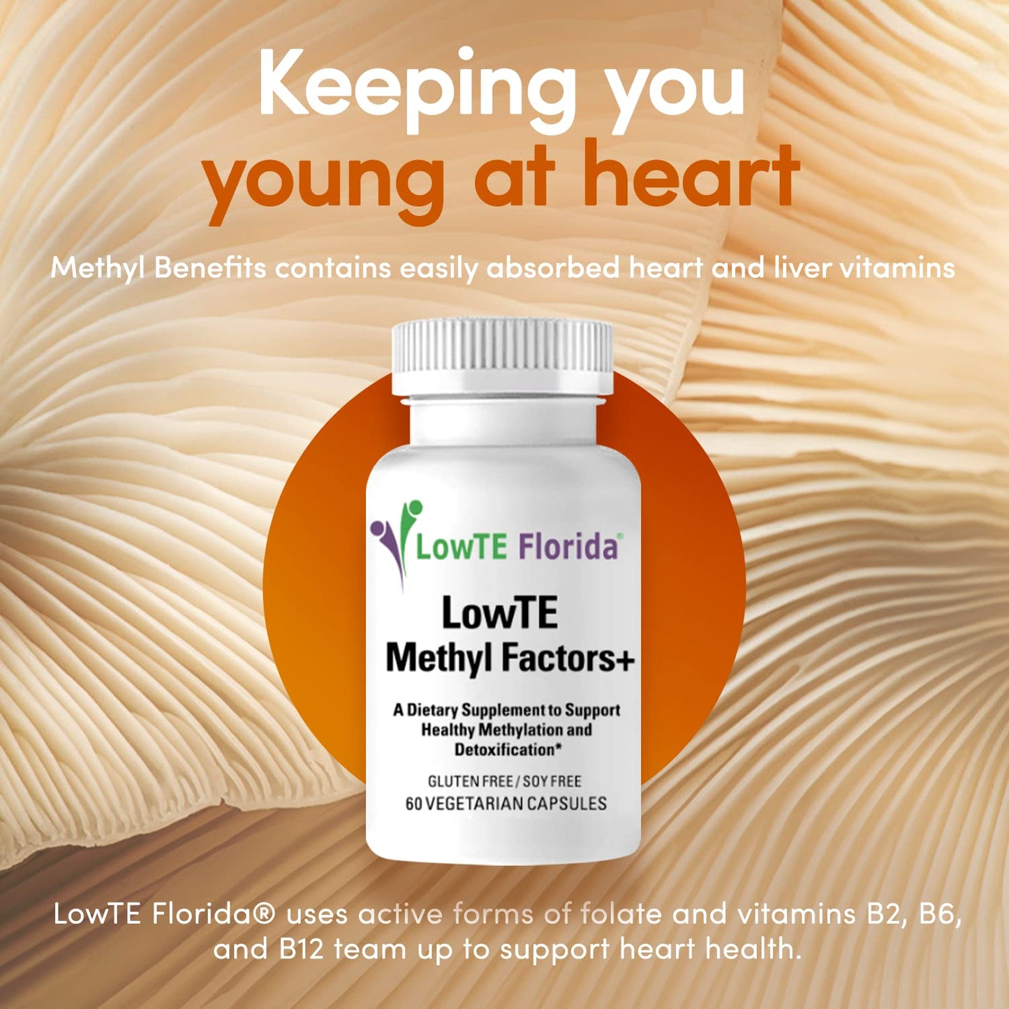 LowTE Florida Methyl Factors+ with B Vitamins, Folate & Riboflavin, 60 Capsules