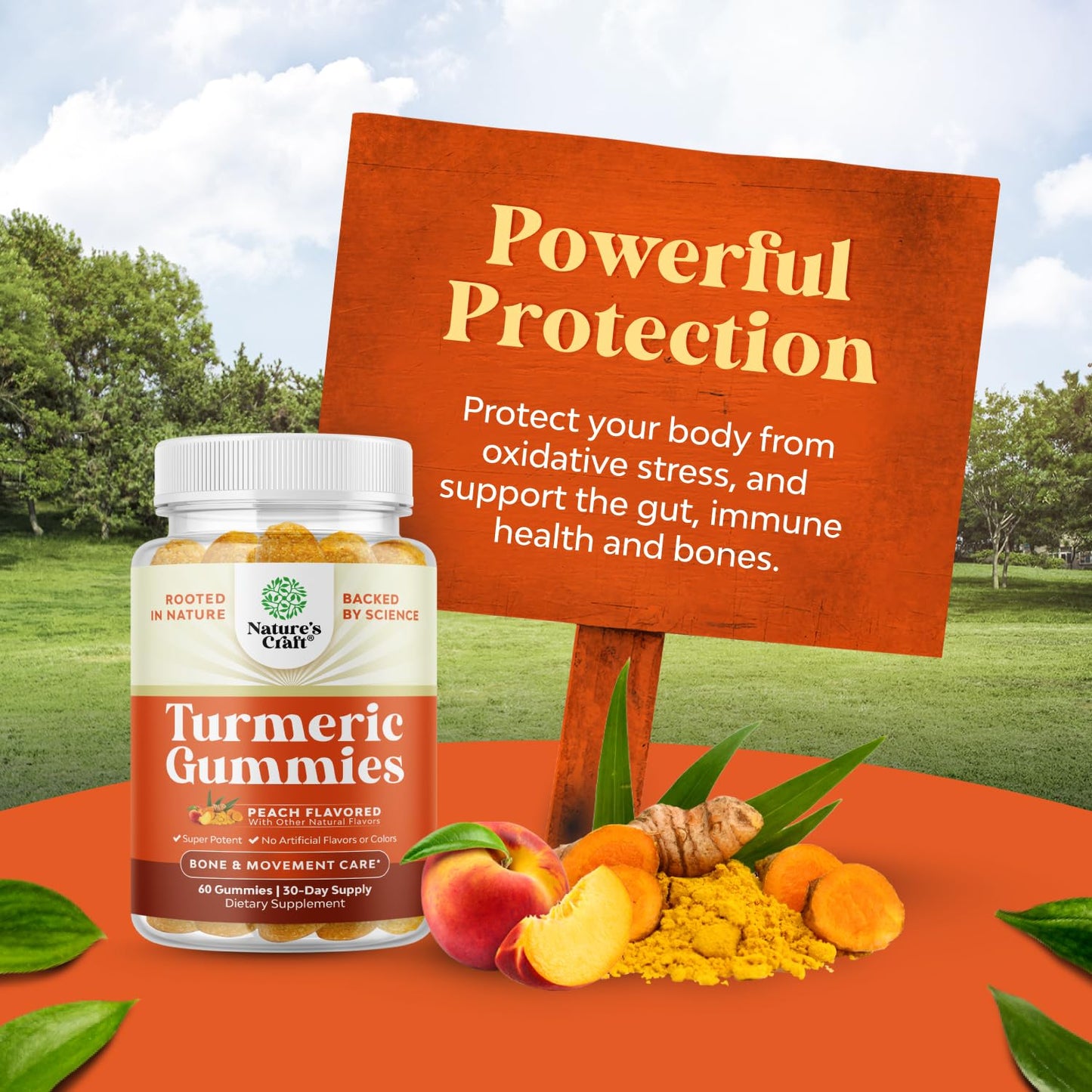 Natures Craft Turmeric Curcumin Immune Support Gummies, 60 Count