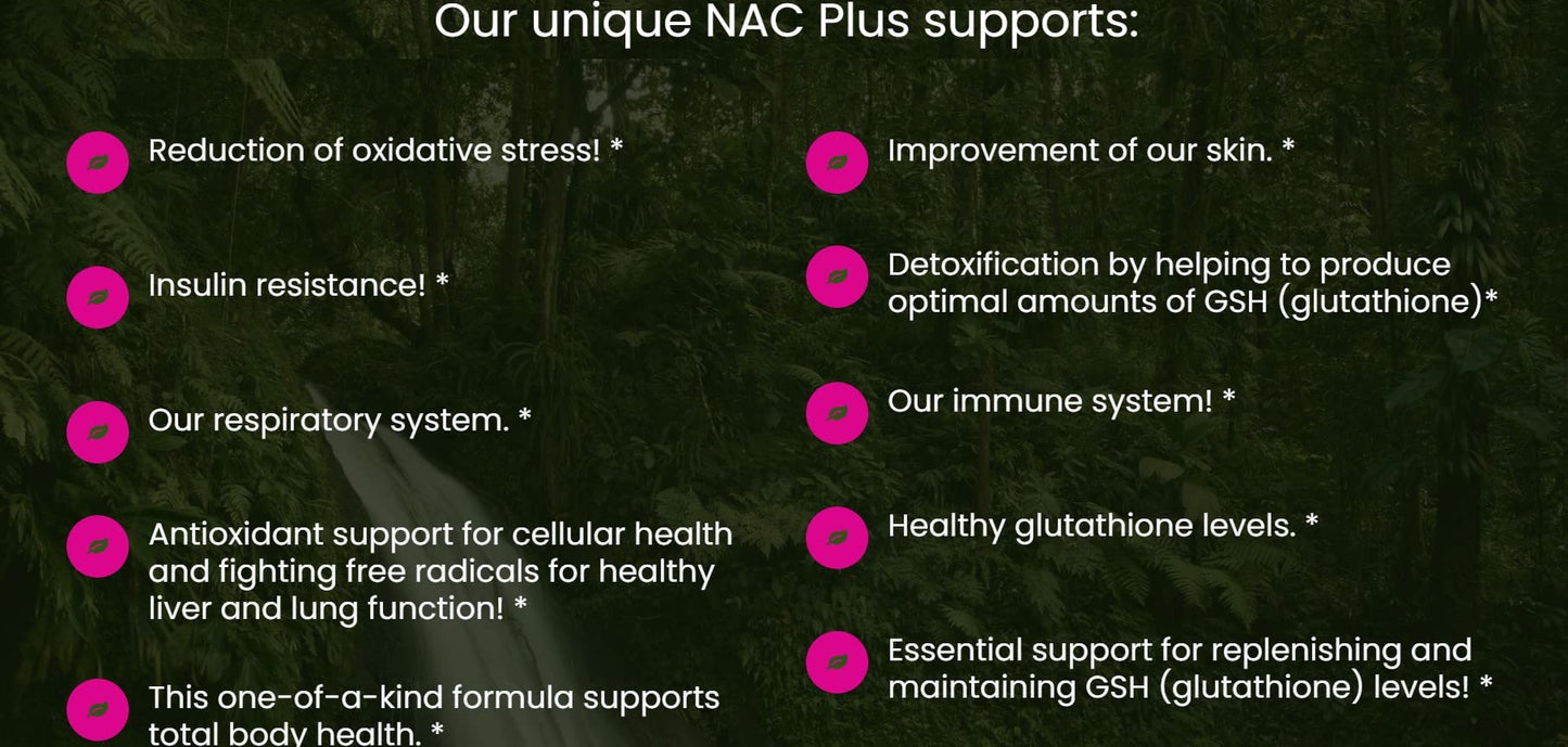 All In Nutritionals NAC Capsule 60 Count