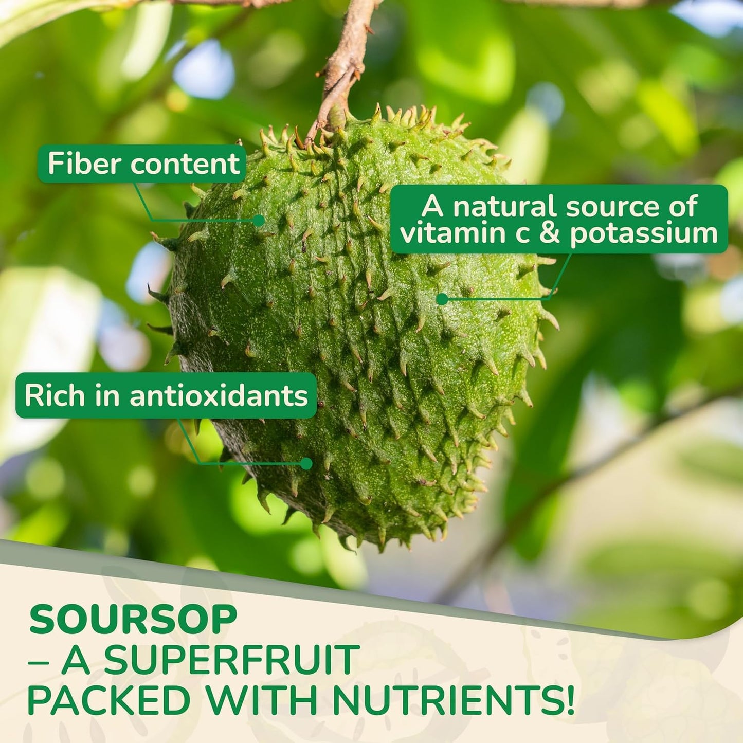Biolore Soursop Graviola Gummies 60 Count