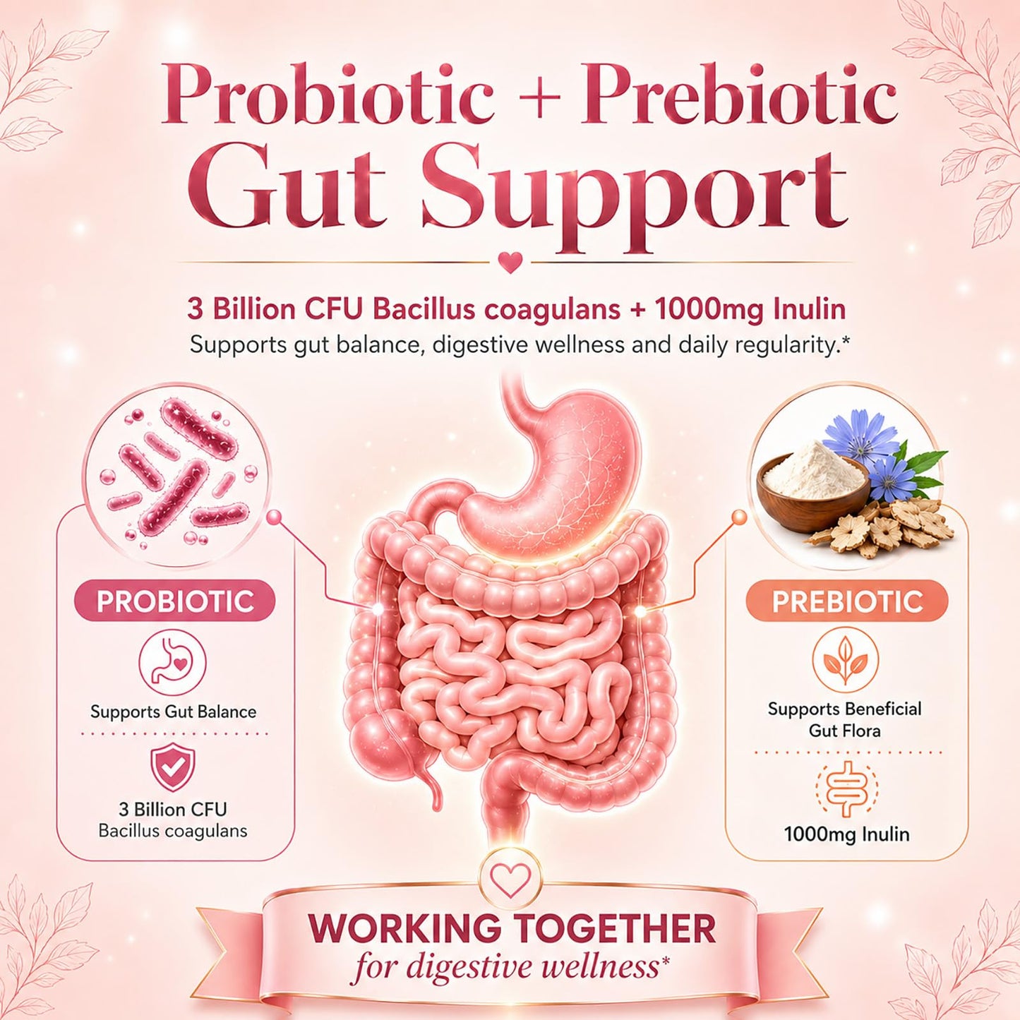 fiocko Probiotics for Women Gummies 60 Count