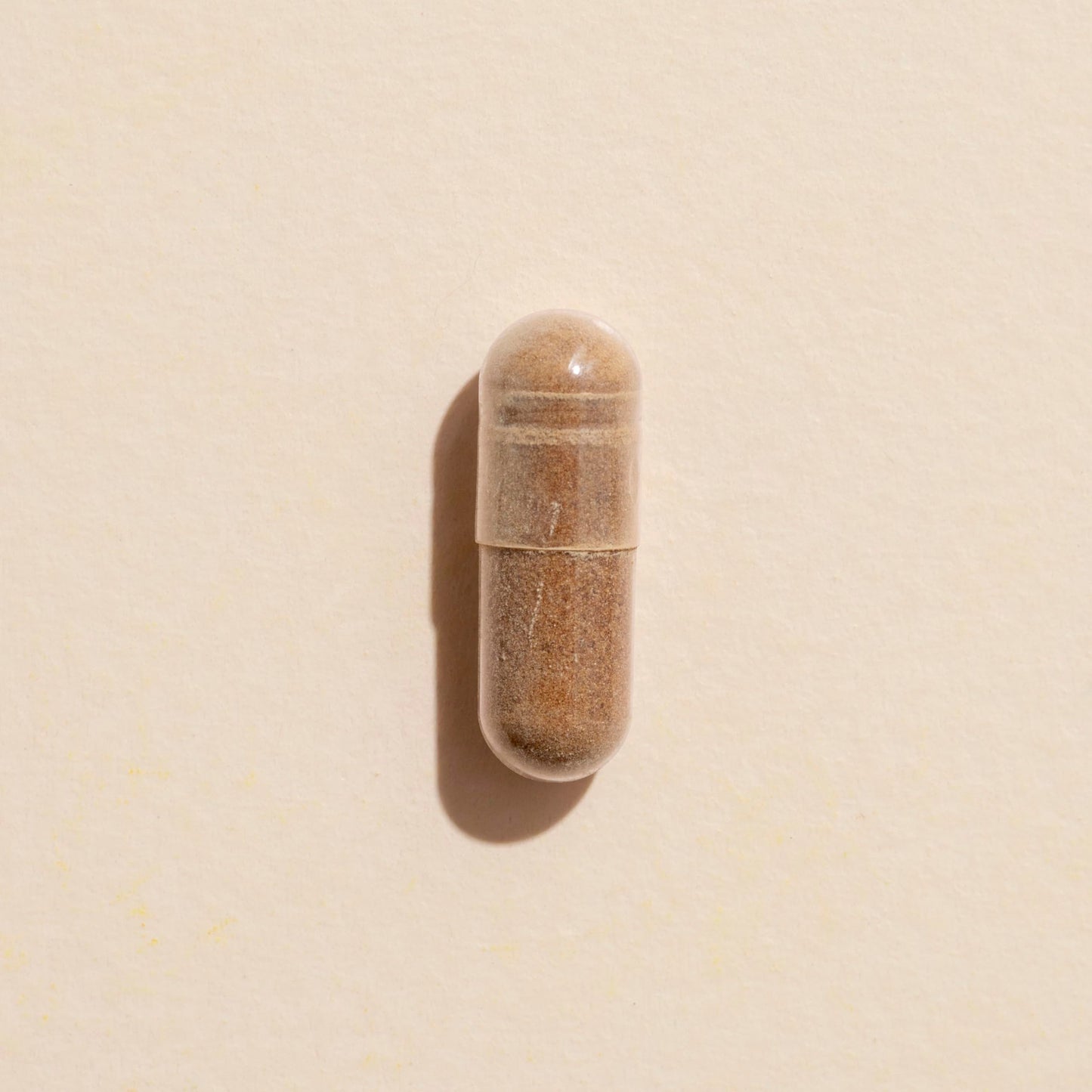 Plant Therapy Lion’s Mane Capsules, 120 Vegetarian Capsules