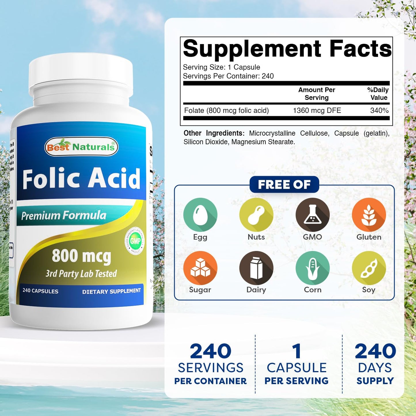 Best Naturals Folic Acid 800 mcg Capsules, 240 Count