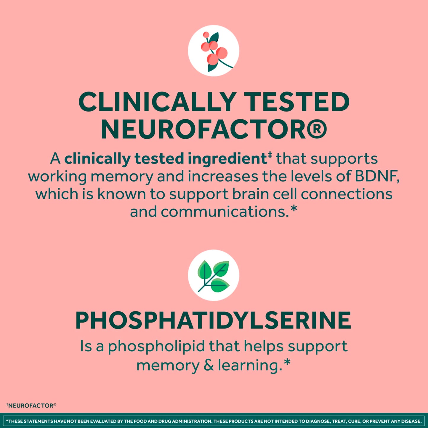 NEURIVA Original Brain Supplements for Memory and Focus, Clinically Tested Nootropics Phosphatidylserine and Neurofactor, 30 Capsules