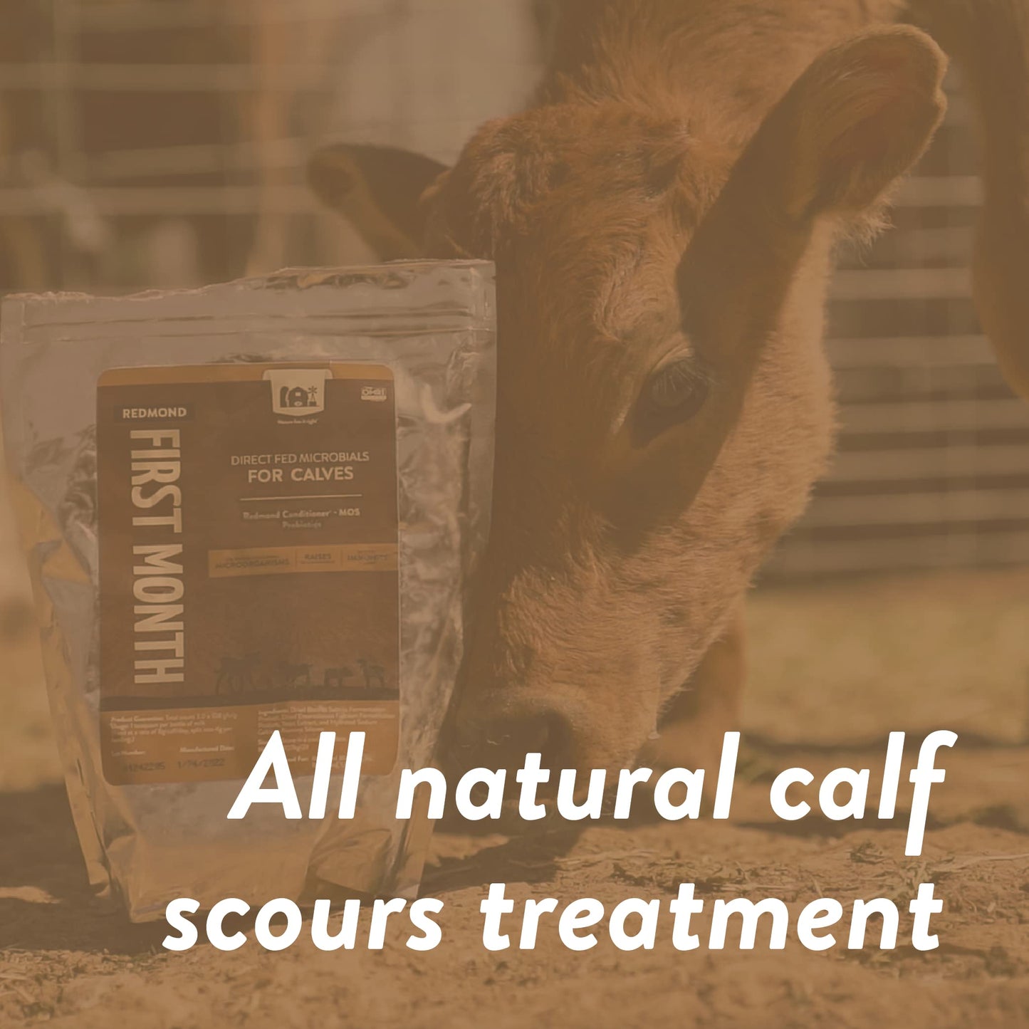 Redmond Calf Immune Stimulator and Scour Treatment Powder, 10 lbs