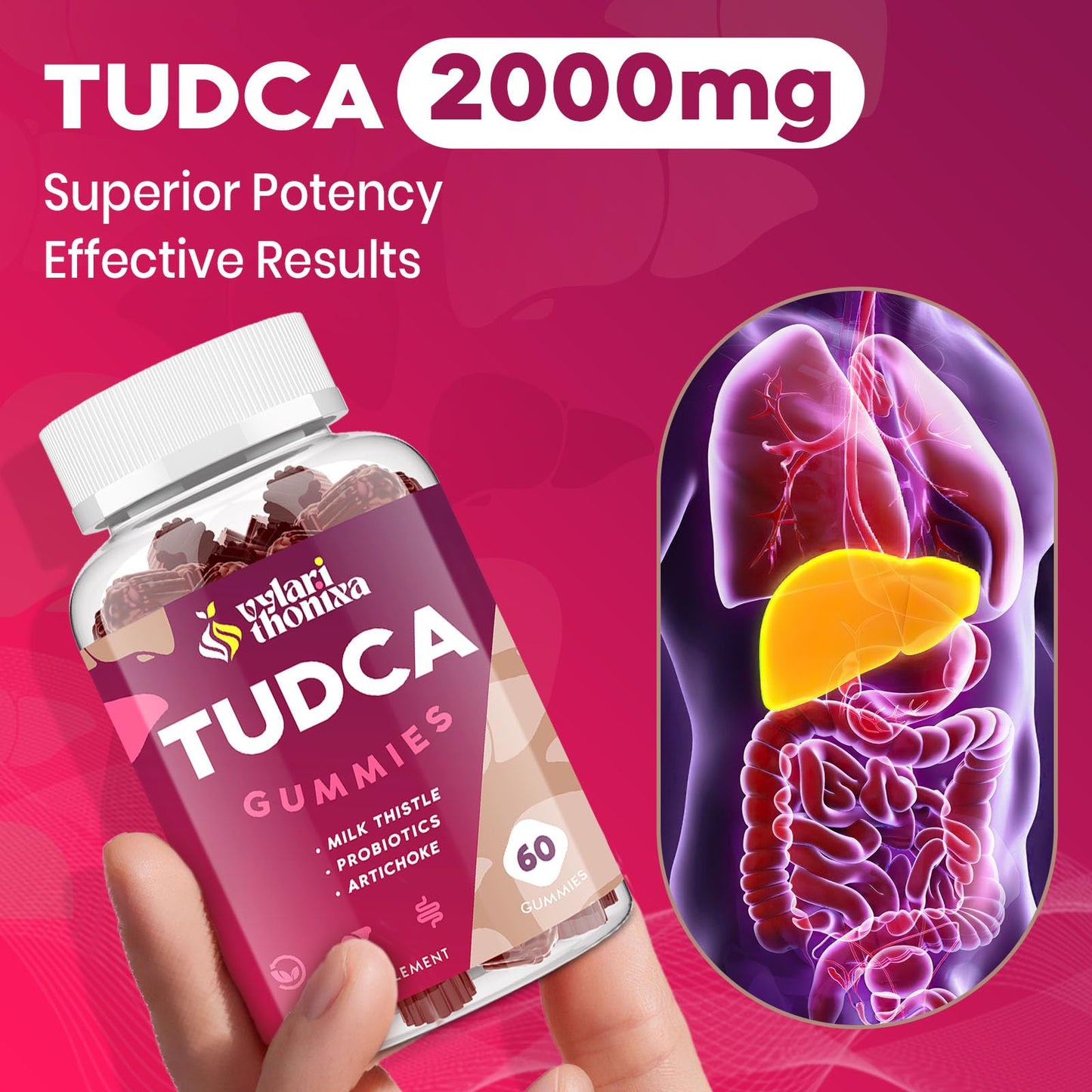 Vylarithonixa TUDCA Bile Salts Gummies, 60 Gummies