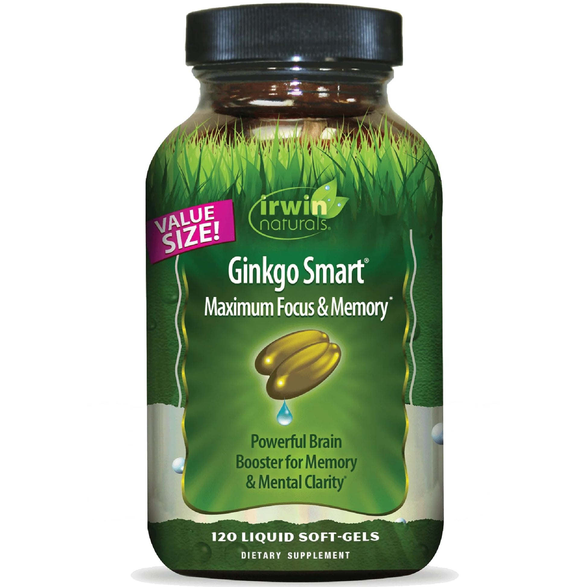 Irwin Naturals Ginkgo Smart Softgels 120 Count