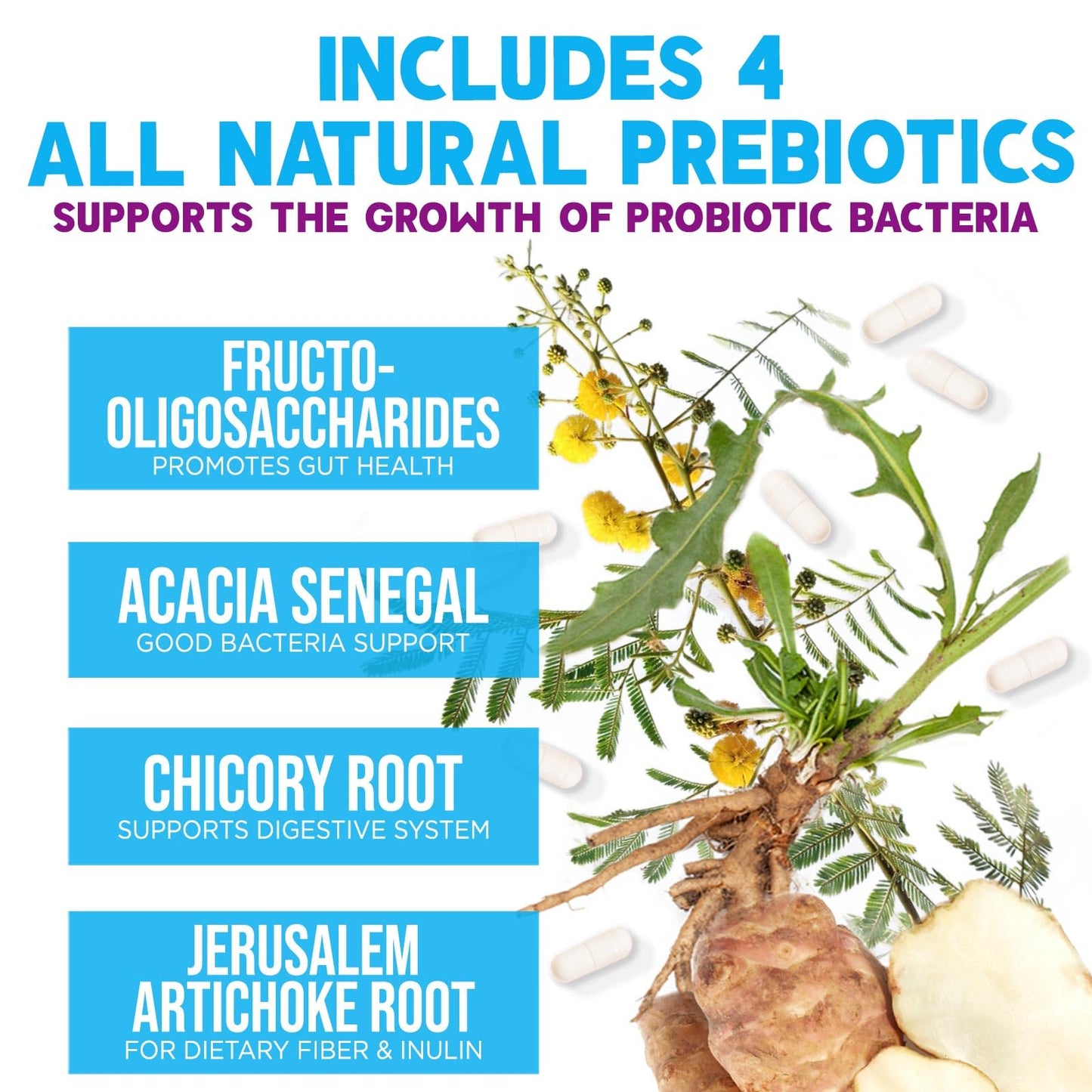Nature's Nutrition Probiotics 100 Billion CFU Per Serving - 10 Premium Strains + Prebiotics - Best Probiotic Supplement for Women & Men - Supports Immune, Digestive Health, Occasional Constipation & Gas - Capsule, 60 Count