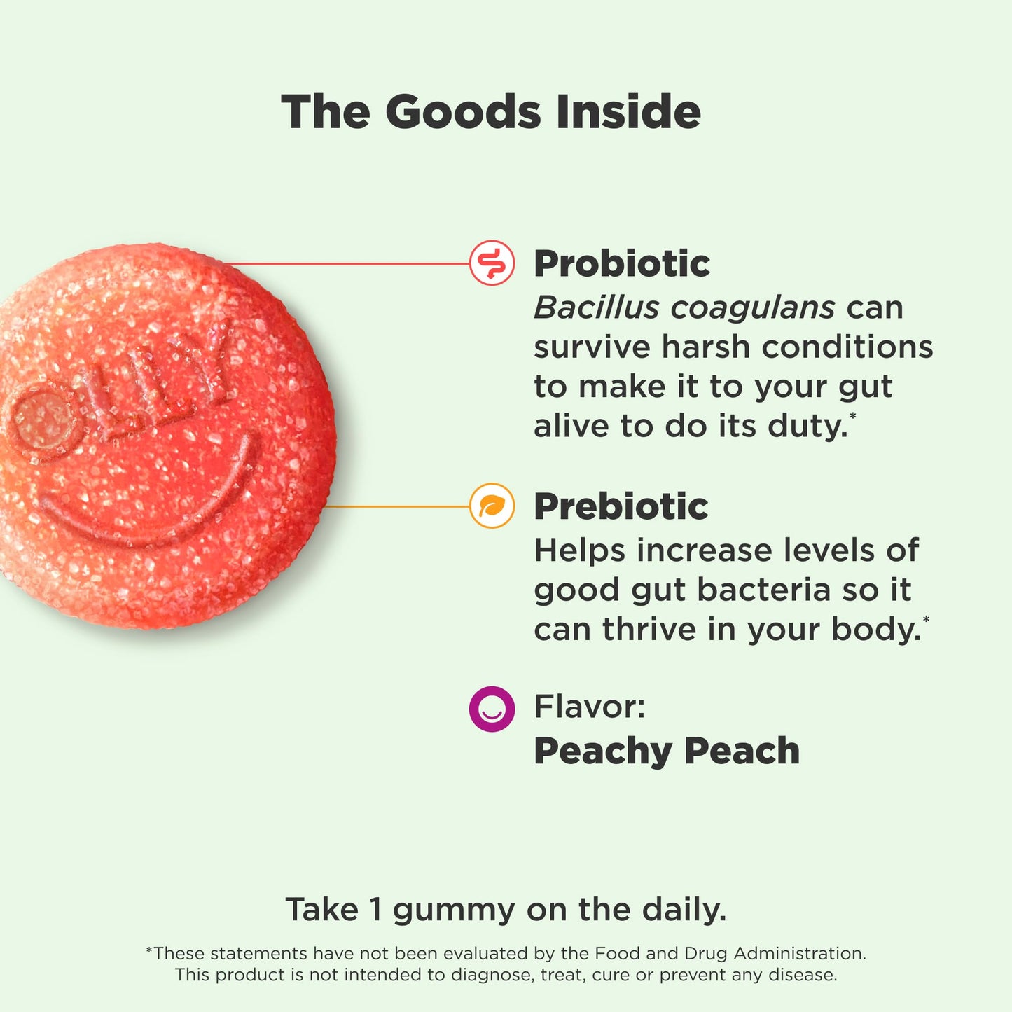 OLLY Probiotic + Prebiotic Gummy 30 Count