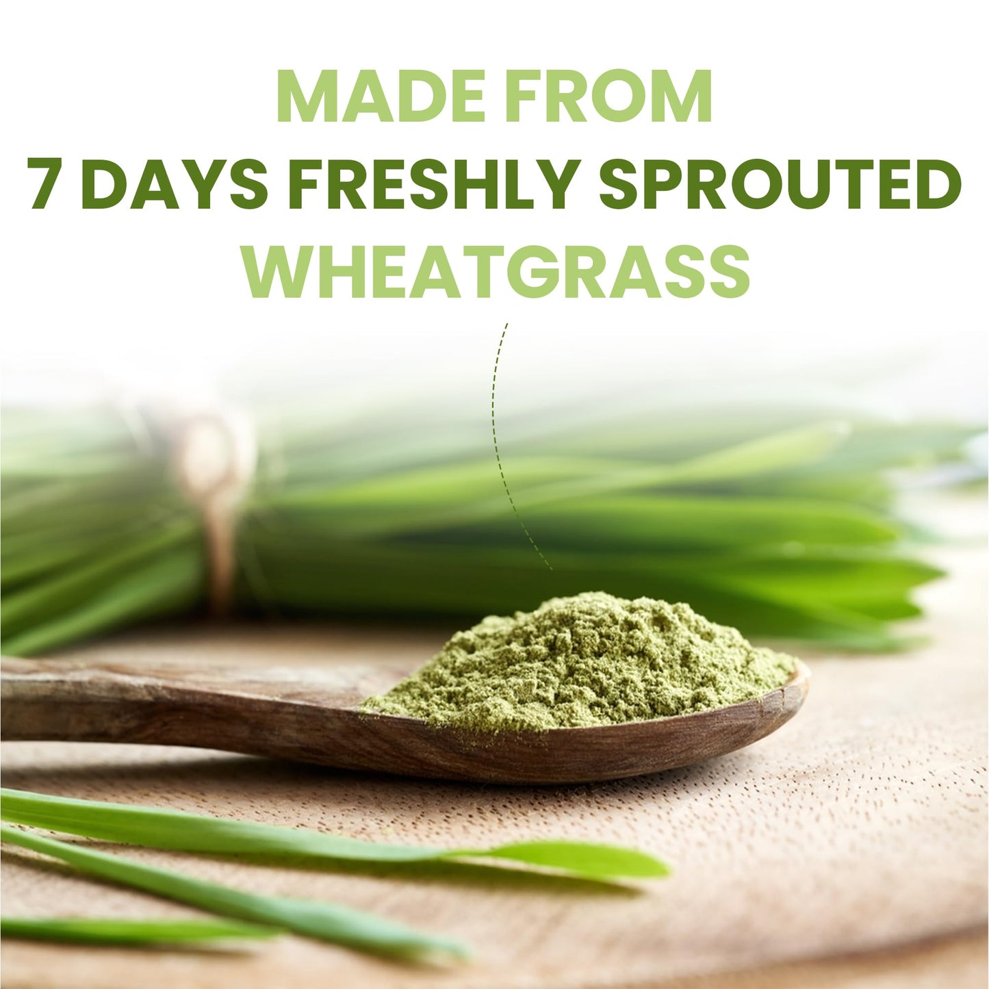 VEDAPURE Organic Wheat Grass Powder 3.53 Ounce