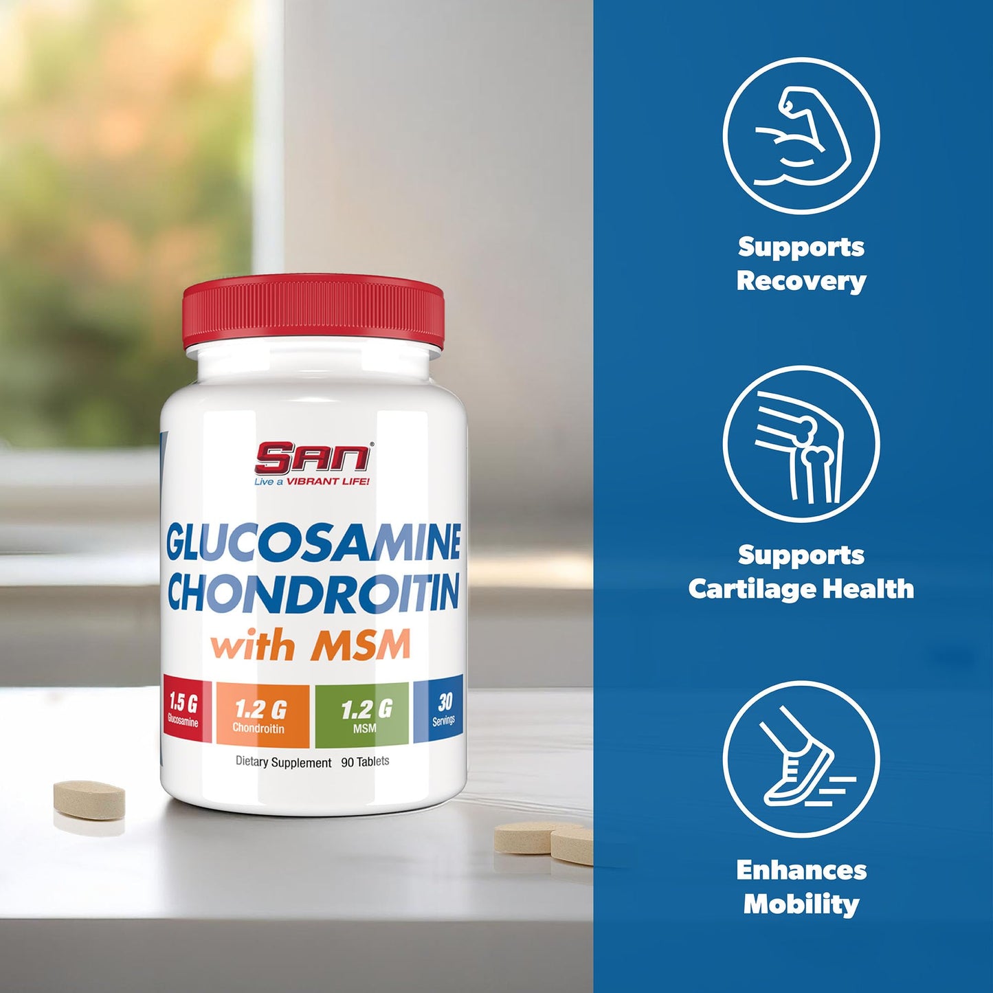 SAN Glucosamine Chondroitin with MSM Complex 1 Capsule