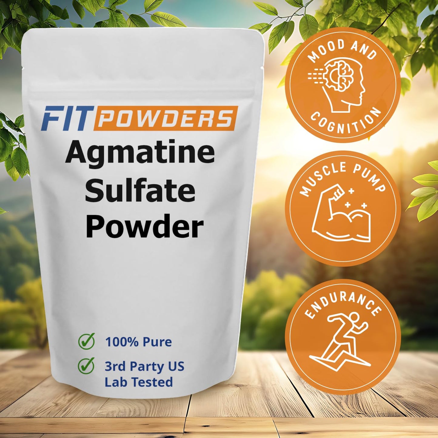 FitPowders Agmatine Sulfate Powder 8.8 Ounce