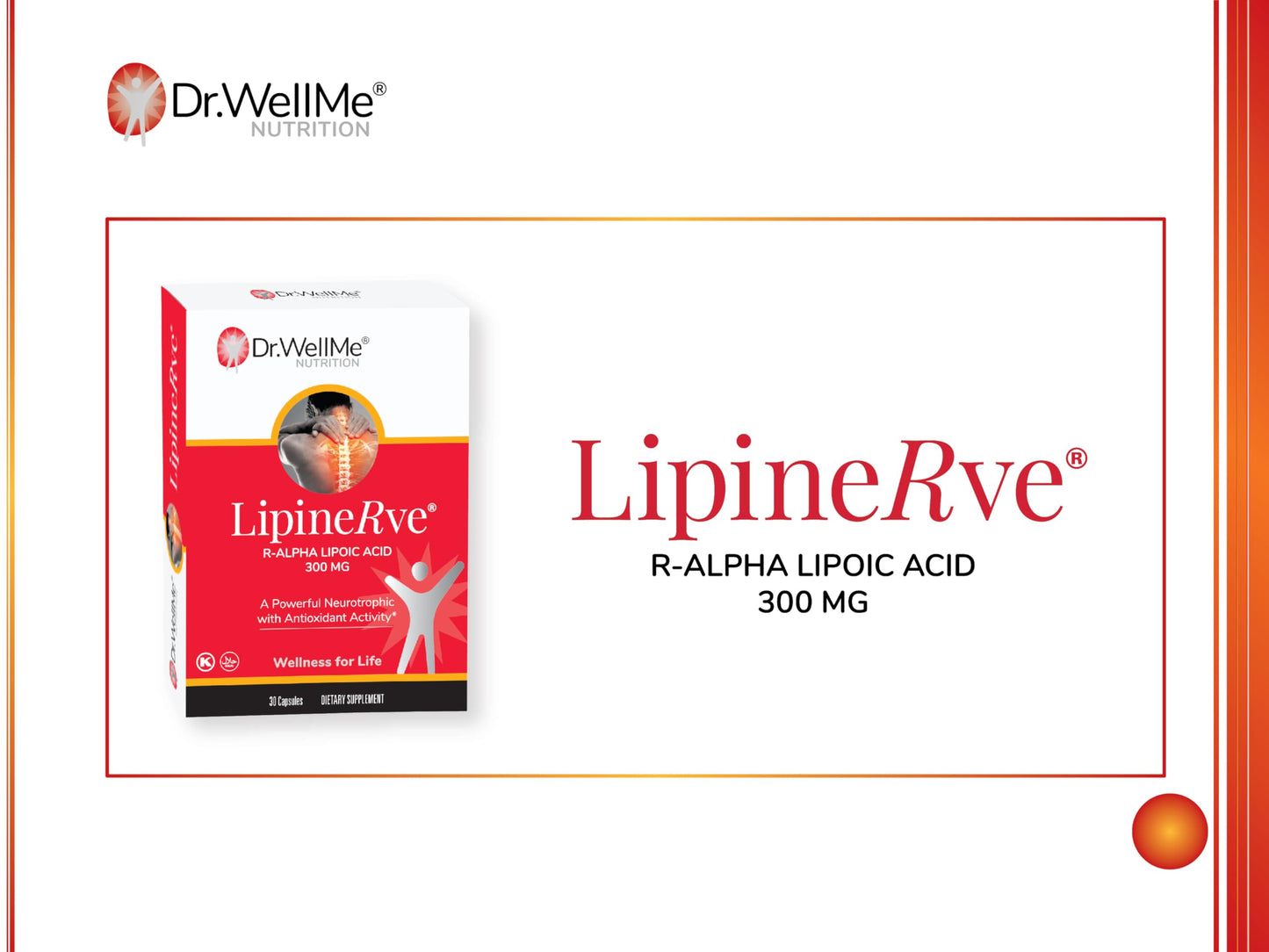 DR WELLME NUTRITION Lipinerve R Alpha Lipoic Acid 300mg Capsules, 30 Count