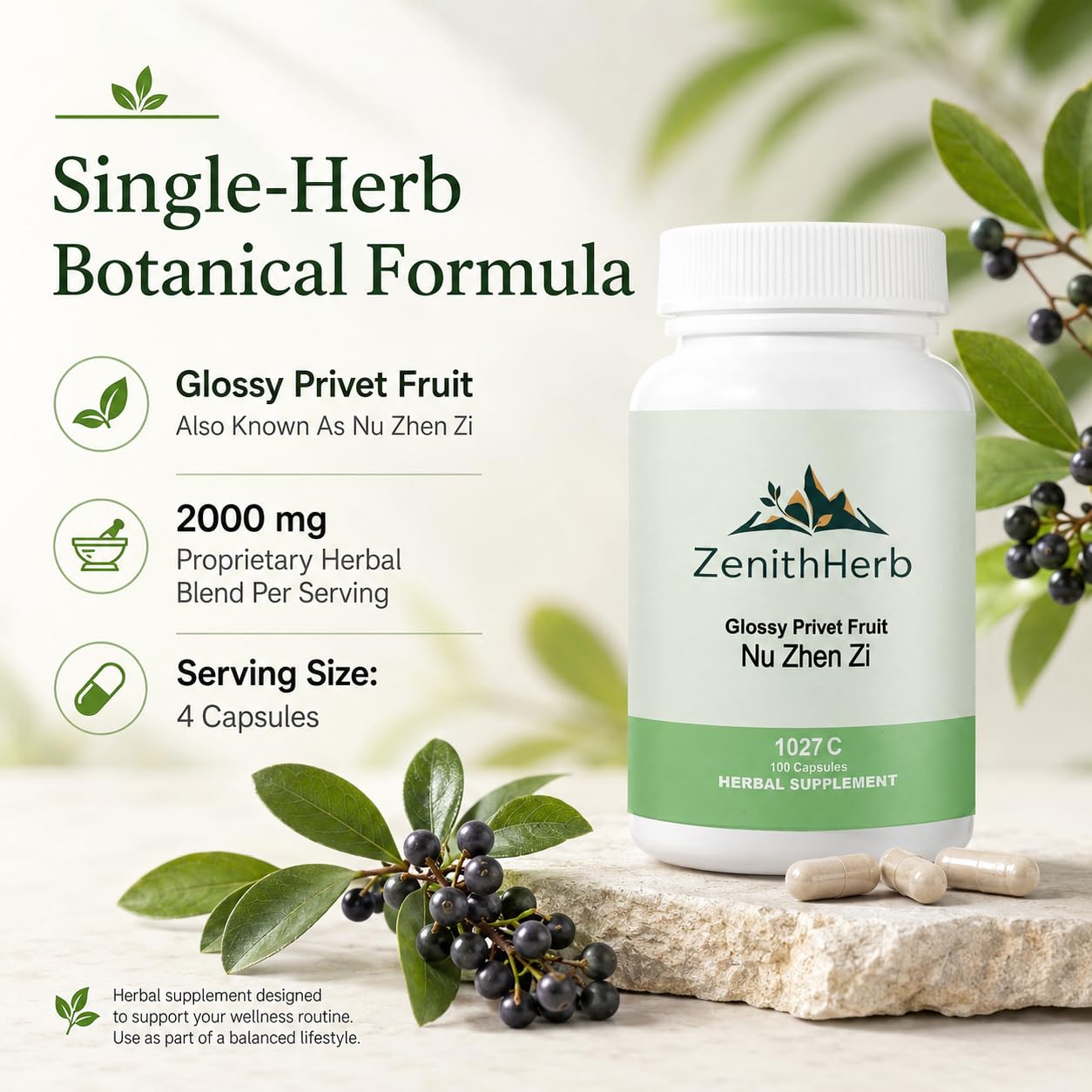 ZenithHerb Nu Zhen Zi, Glossy Privet Fruit Capsules, 100 Capsules