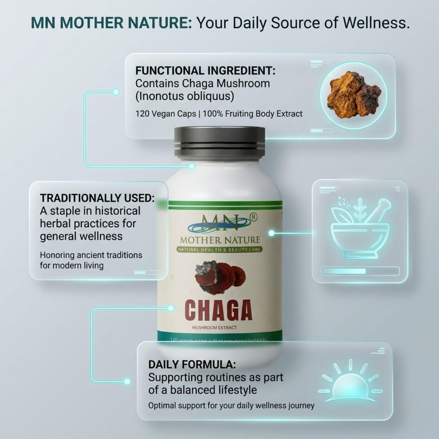 Mn Mother Nature Inc Chaga Mushroom Extract Supplement 1000mg Inonotus Obliquus Fruiting Body Capsules 120 Count