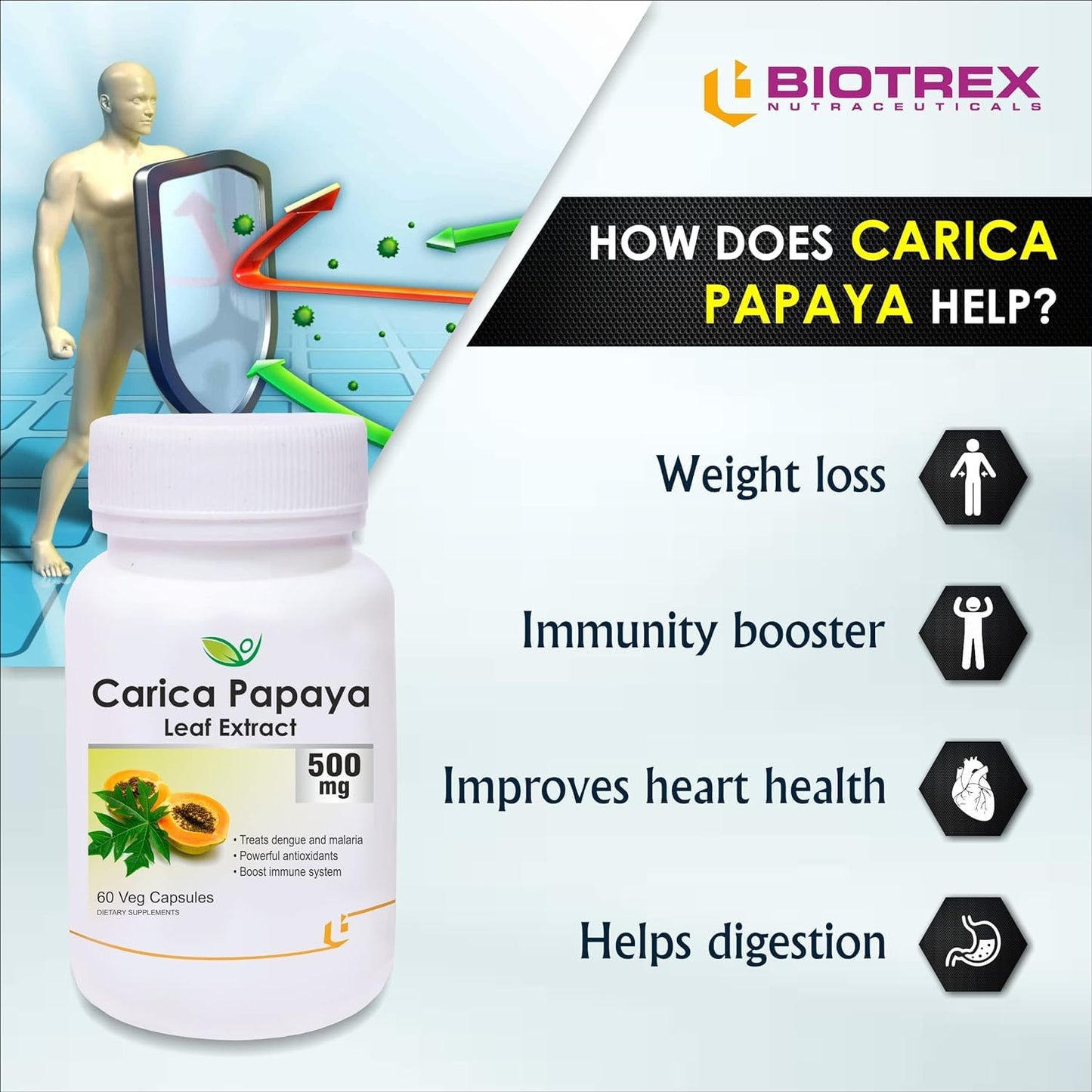 Generic Carica Papaya Leaf Extract 500mg Capsule 60 Capsules