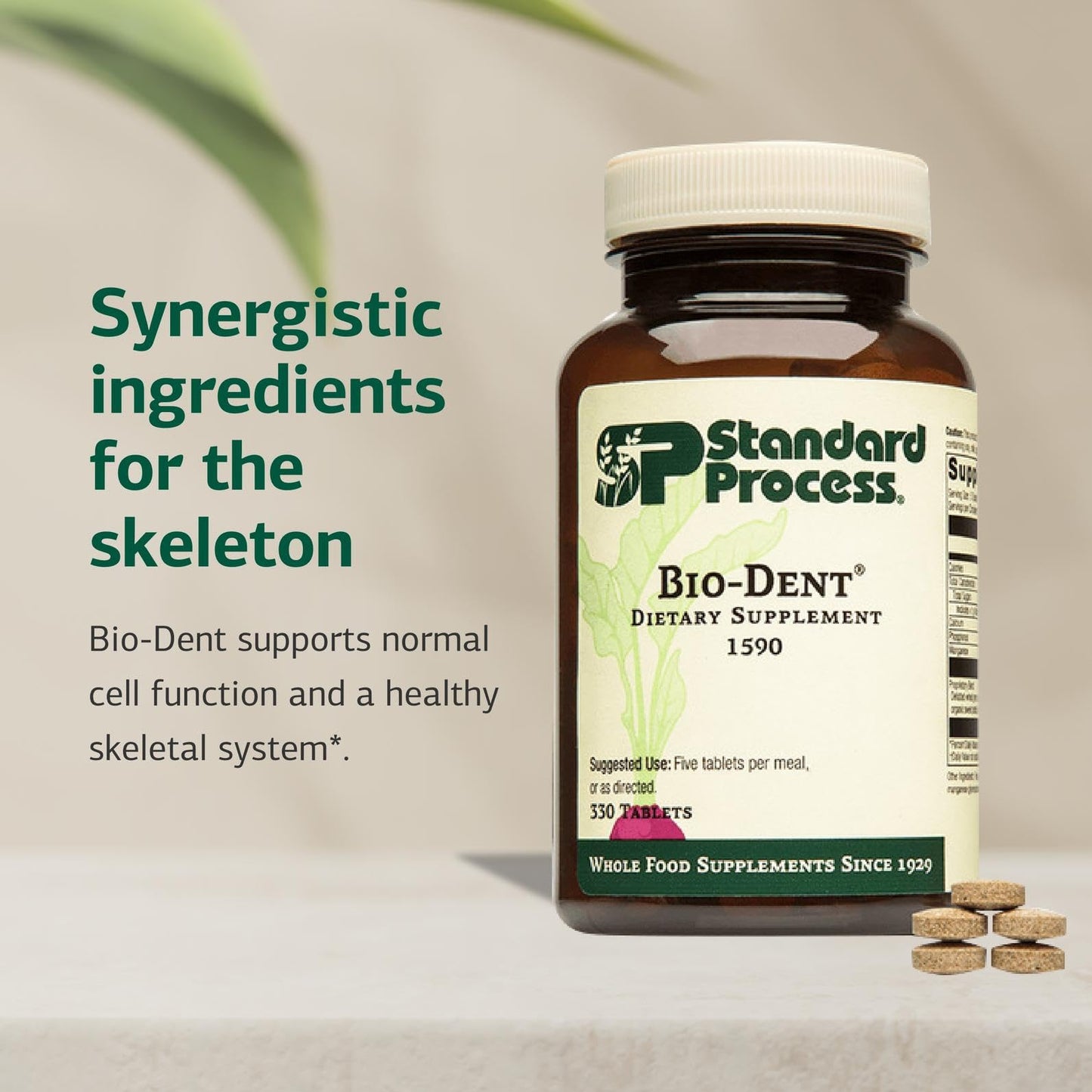 Standard Process Inc. Bio-Dent Tablets 330