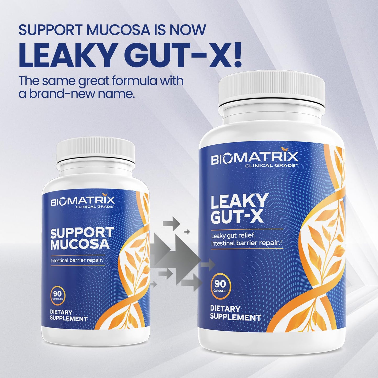 BioMatrix Leaky Gut Repair Capsule, 90 Count