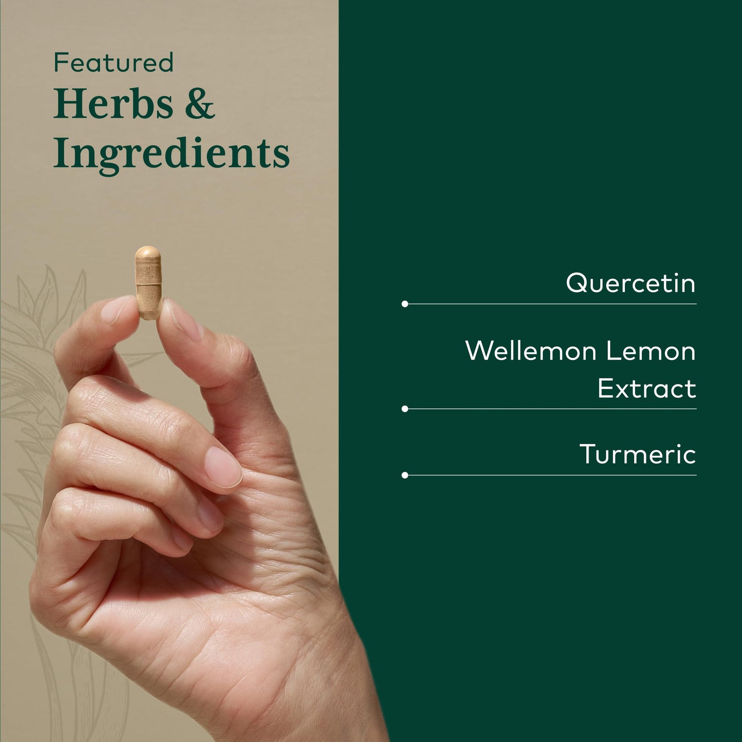 Gaia Herbs PRO Quercetin Synergy 500 Immune System Support with Bromelain & Turmeric, 100 Capsules
