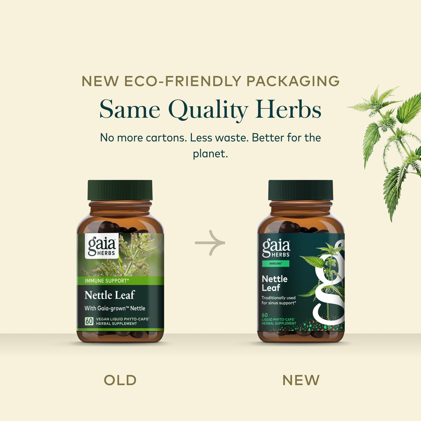 Gaia Herbs Nettle Leaf Capsule 60 Count