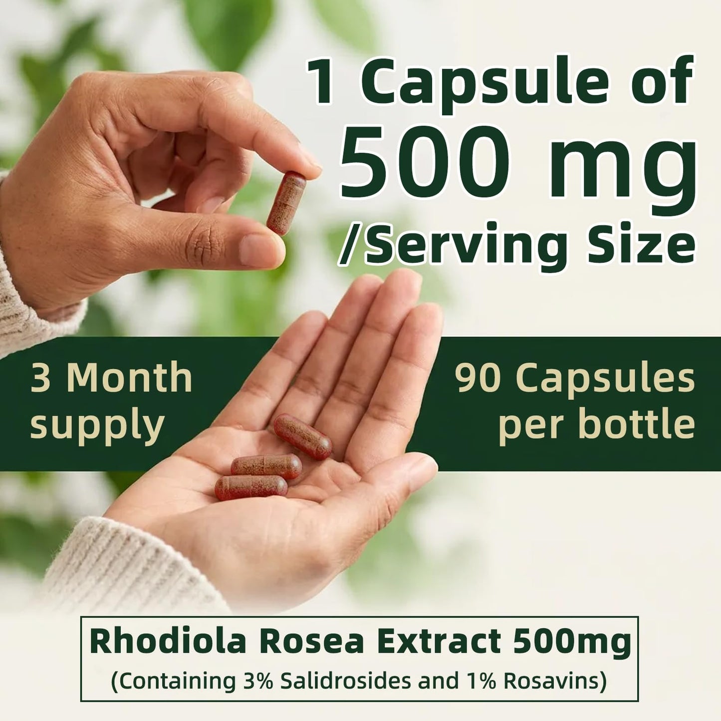 StressXcel Rhodiola Rosea Supplement Capsules, 90 Count