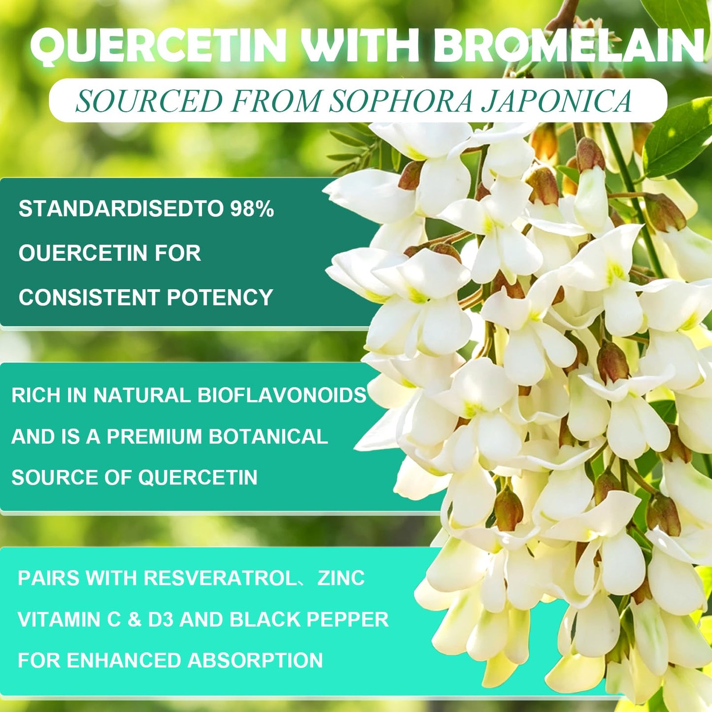 WellVeraVida Quercetin with Bromelain Softgel 2 Count