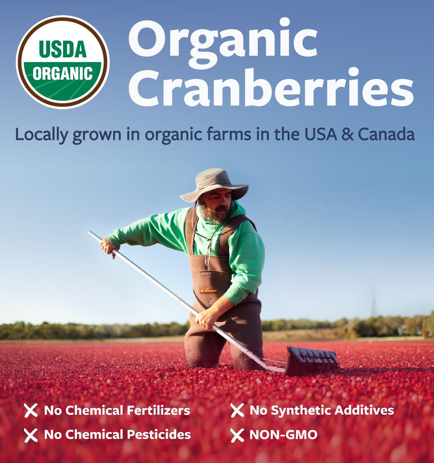 PURE CO Organic Cranberry Pills for Women 500mg Cranberry Concentrate Capsules, 120 Count