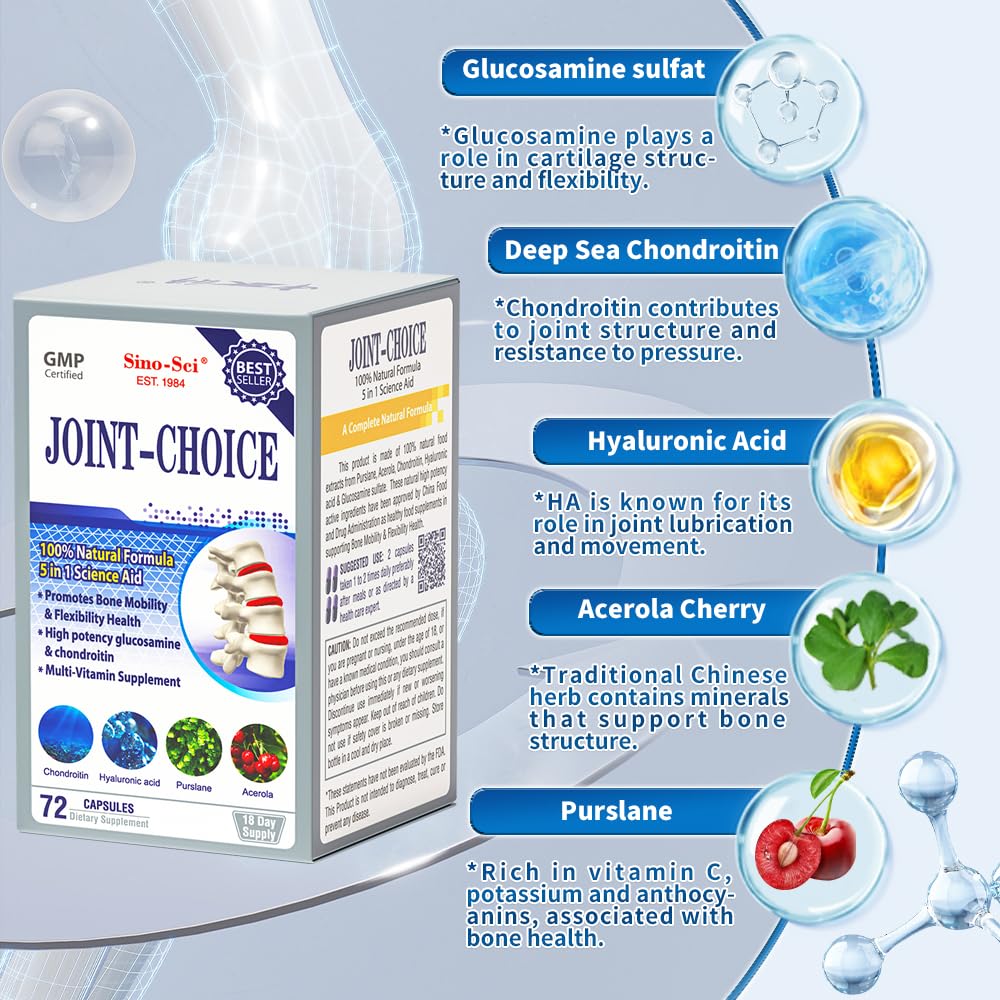 Sino-Sci Joint Choice Joint Support Supplement, Mobility & Flexibility, Natural Formula, 2 Capsules