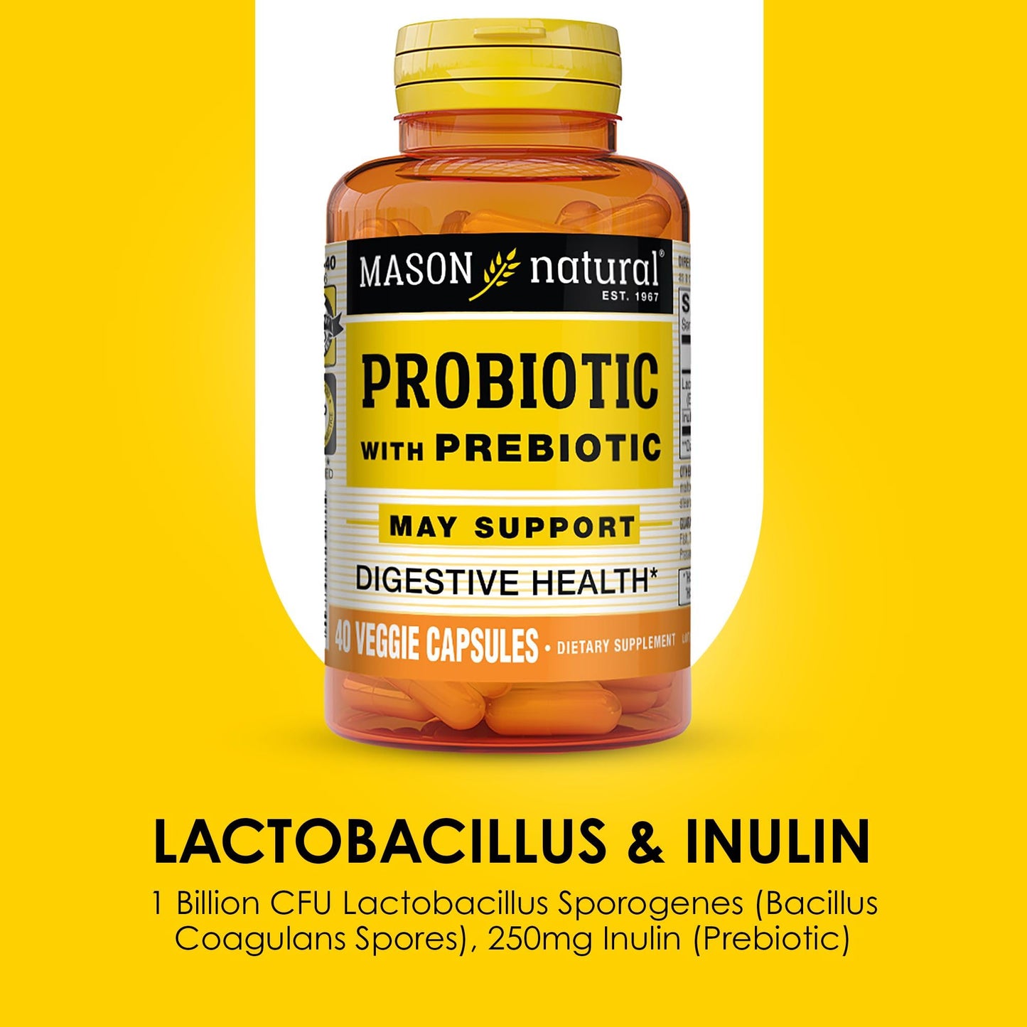 MASON NATURAL Probiotic with Prebiotic, 40 Capsules