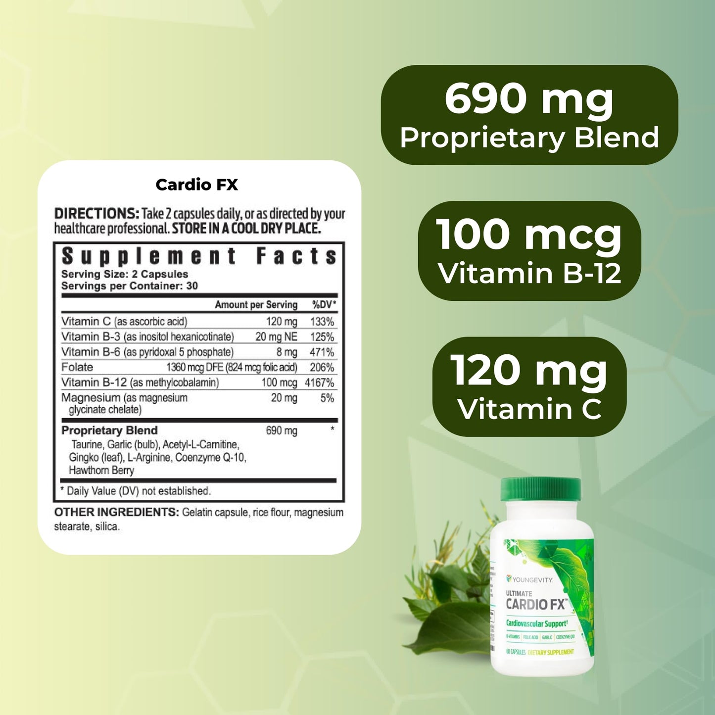 Youngevity Cardio FX Cardiovascular Support Supplement with CoQ10 Capsule, 1 Count